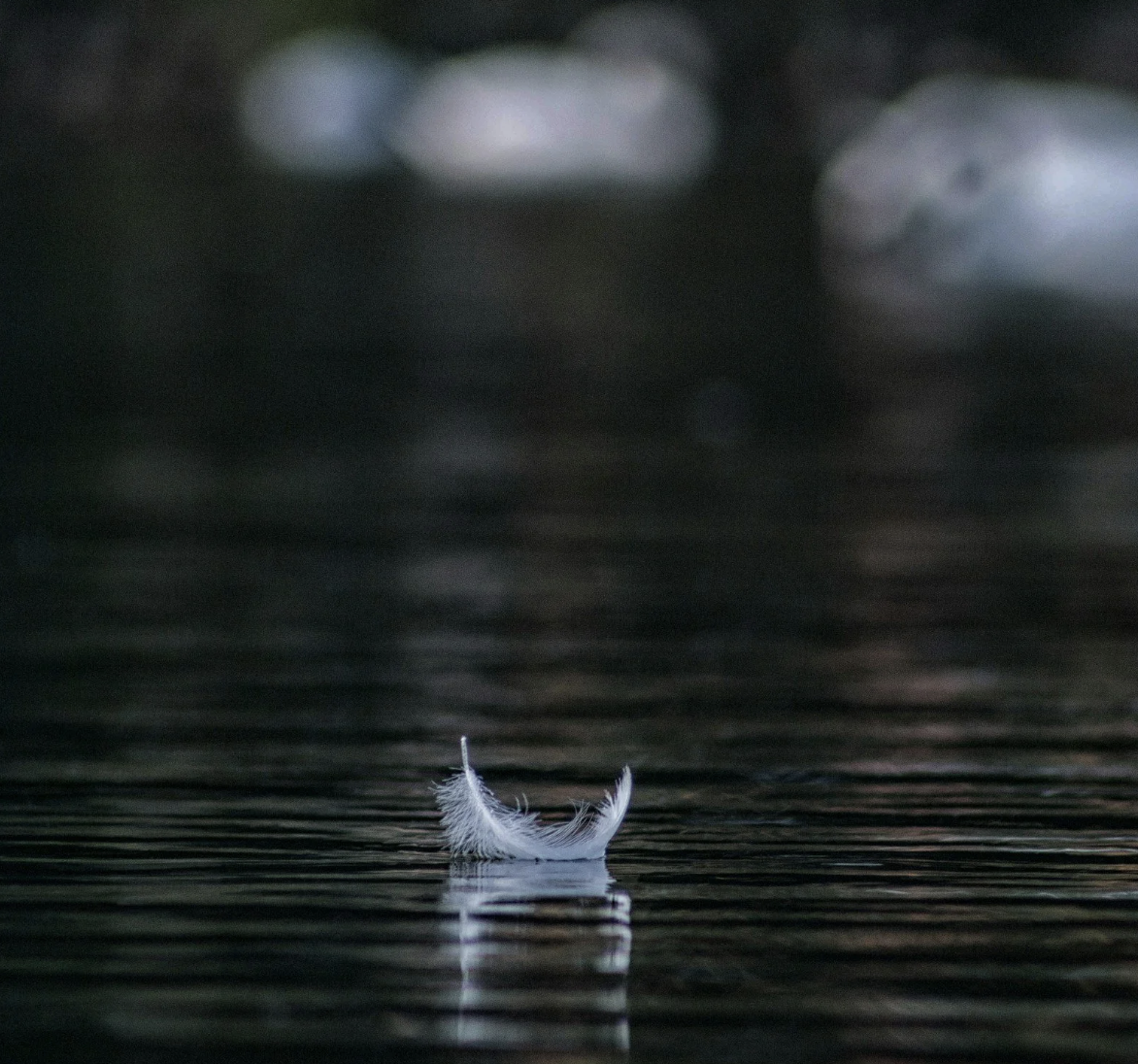 Lesson Four: Antar Mouna (Inner Silence) + Breath-Based Self-Inquiry