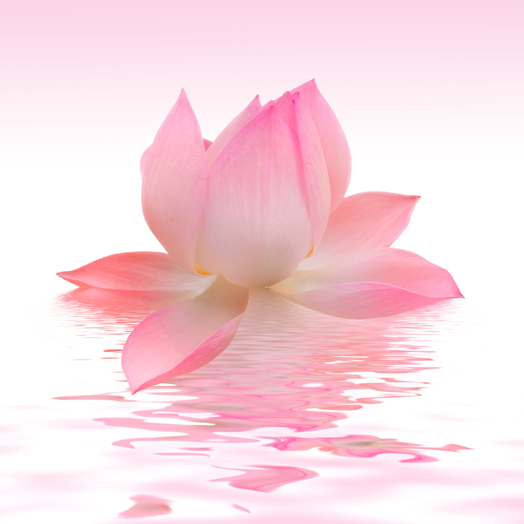 Lesson 1: Mastery of Trance Meditation