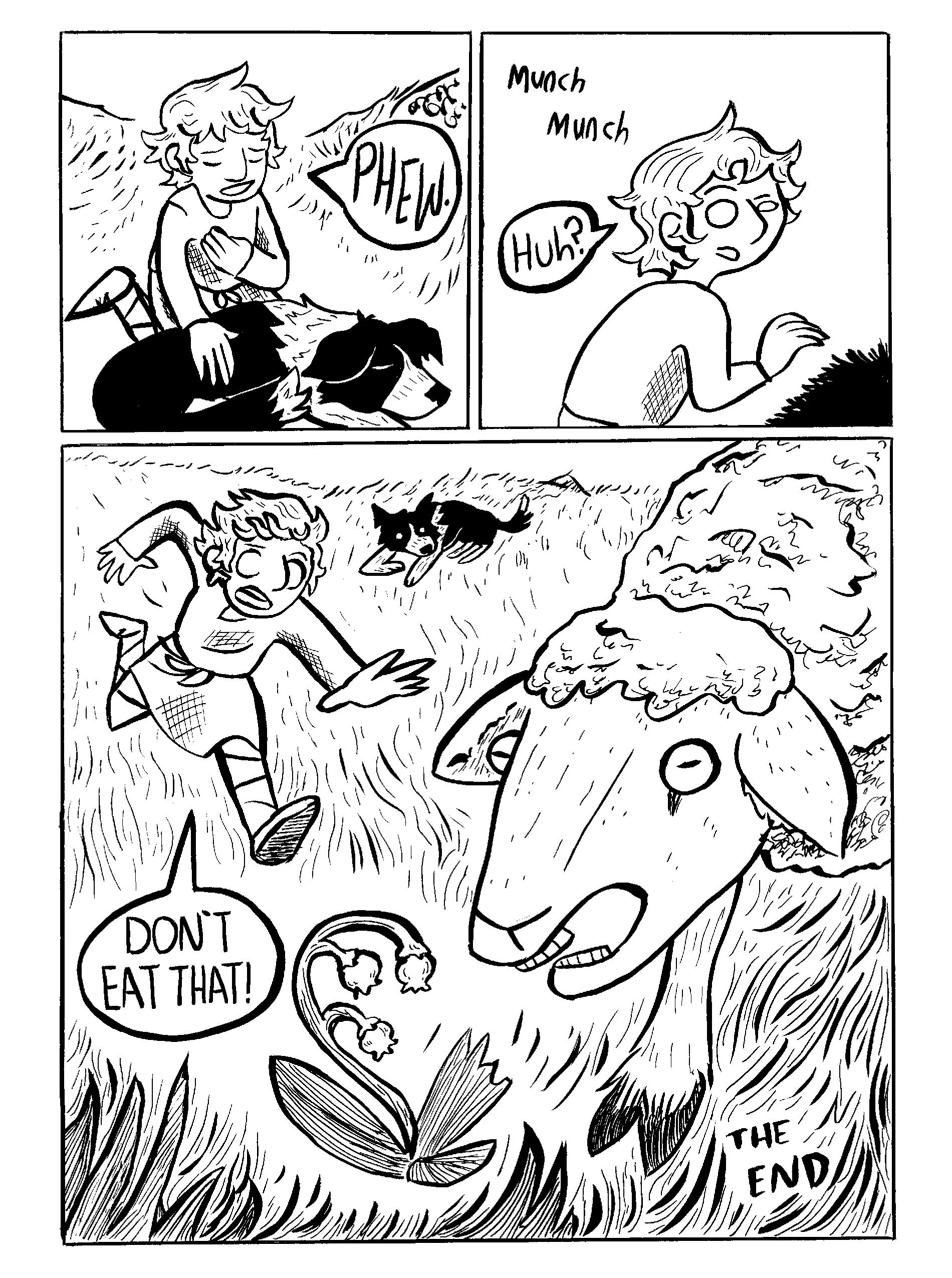 snarlfinish16.png