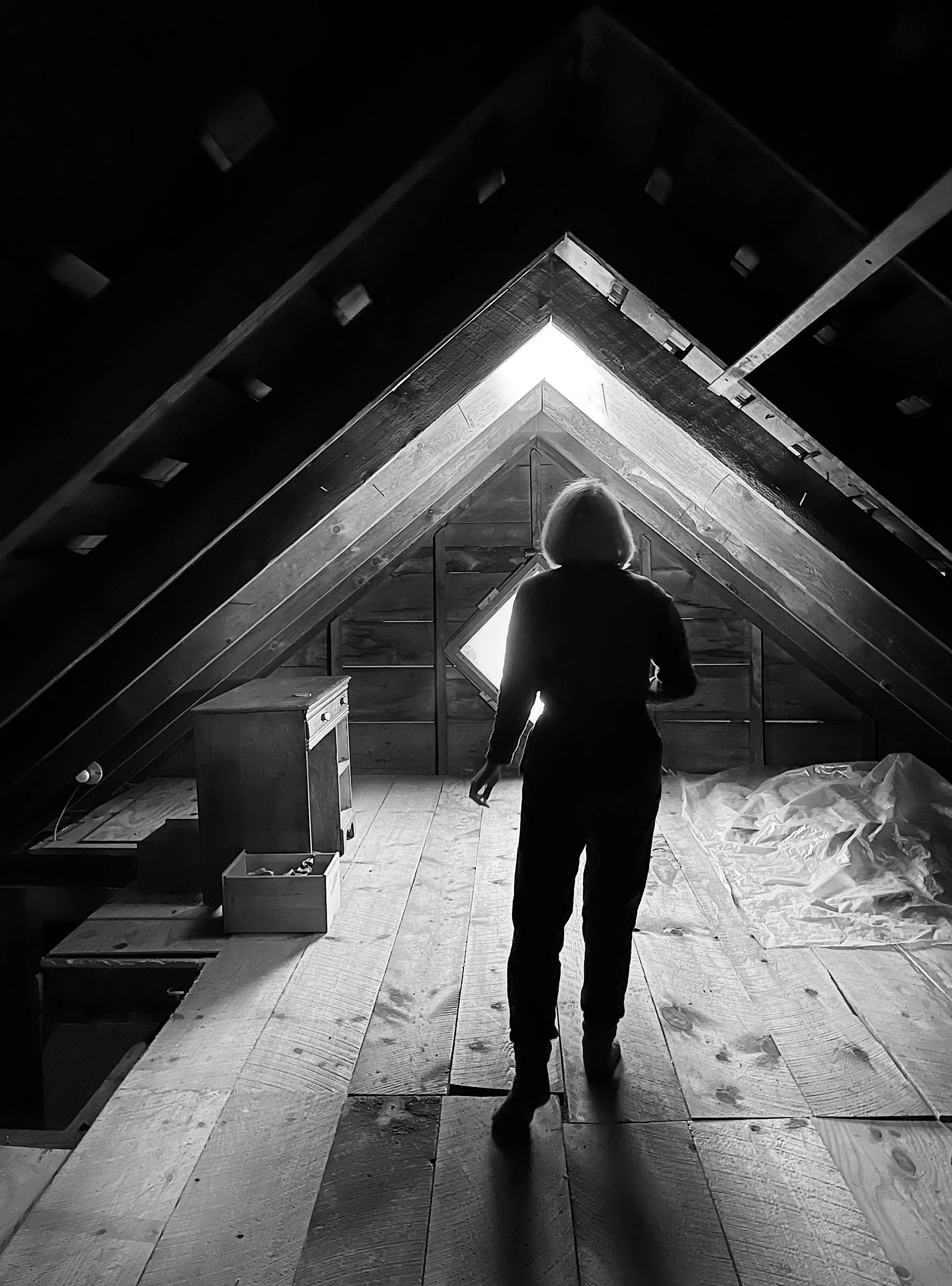 Attic sleuthing 2021.