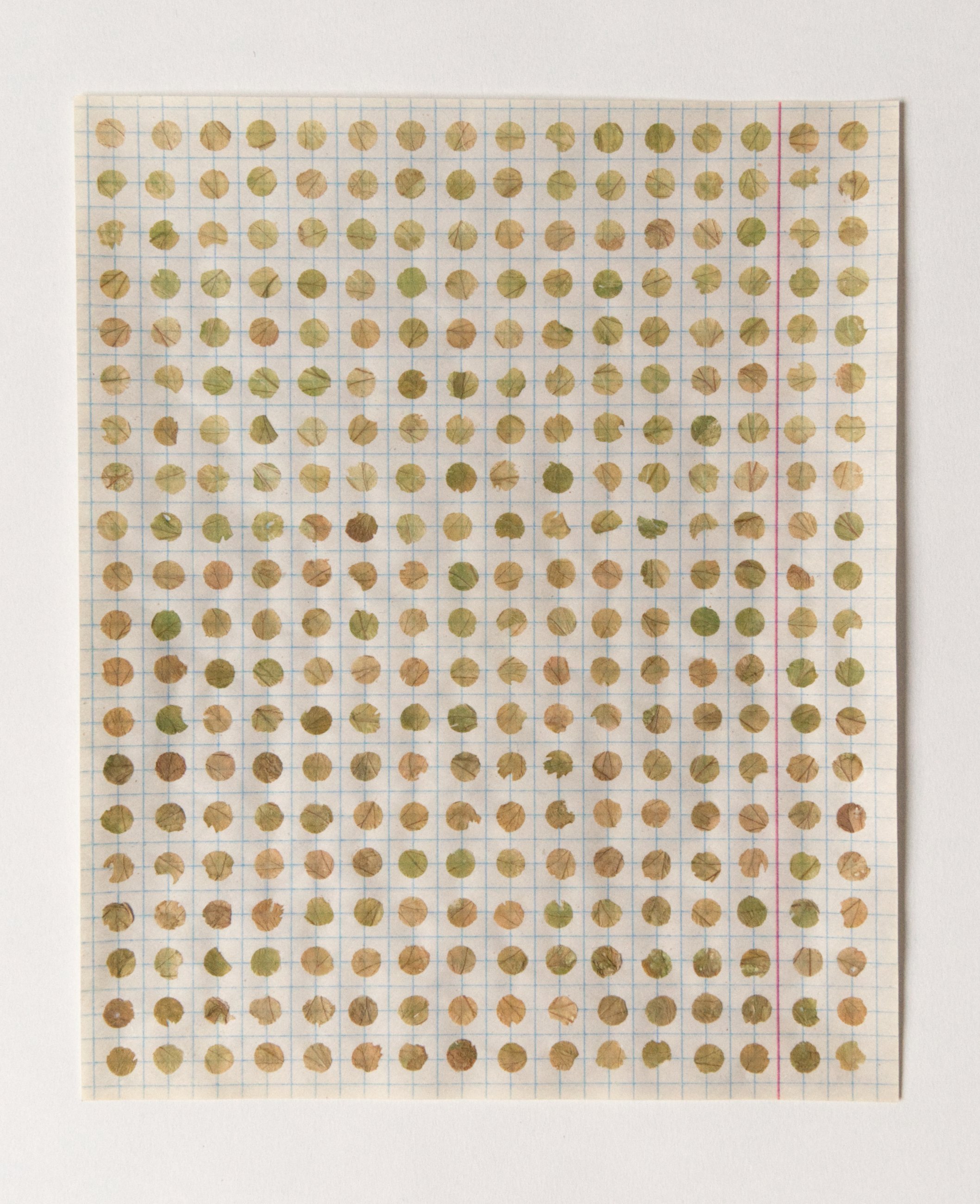 Meditations on the weight of things not felt, collected ageing leaves from the plants I live with on paper, London, 2019-ongoing