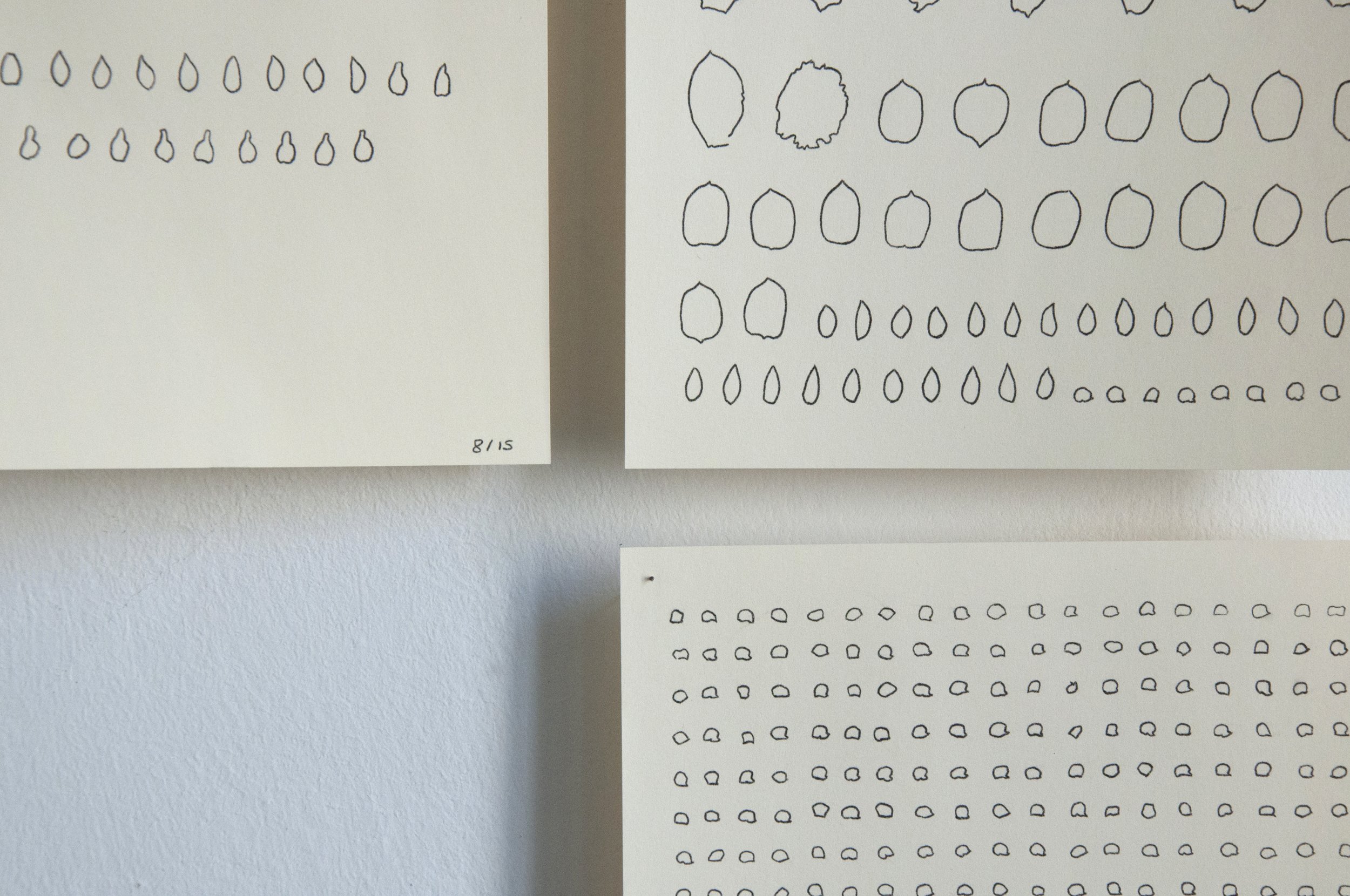 Remainder 10/14-09/15, pips, stones and seeds from food consumed, carbon, carbon paper, biro, paper, Turin, Italy, 2015