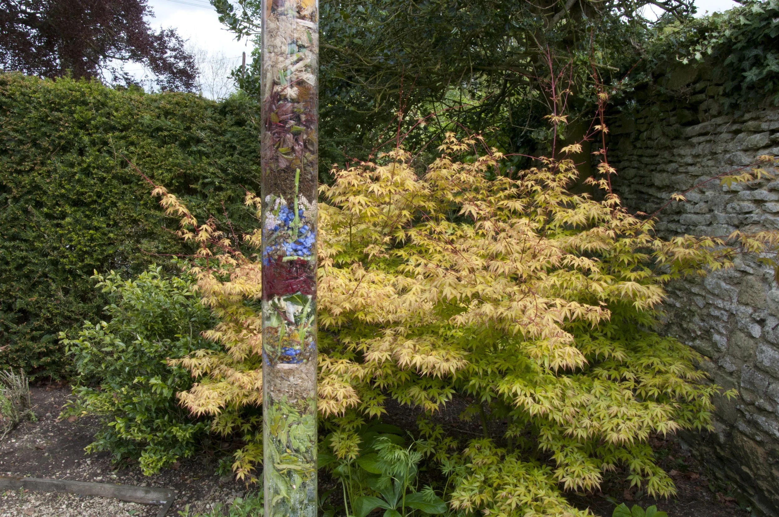 Two days in May, garden matter, Clanfield, U.K, 2013