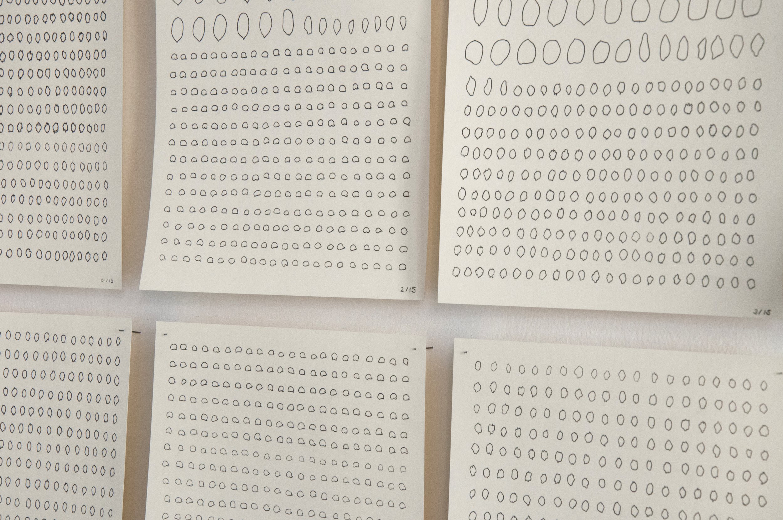 Remainder 10/14-09/15, pips, stones and seeds from food consumed, carbon, carbon paper, biro, paper, Turin, Italy, 2015