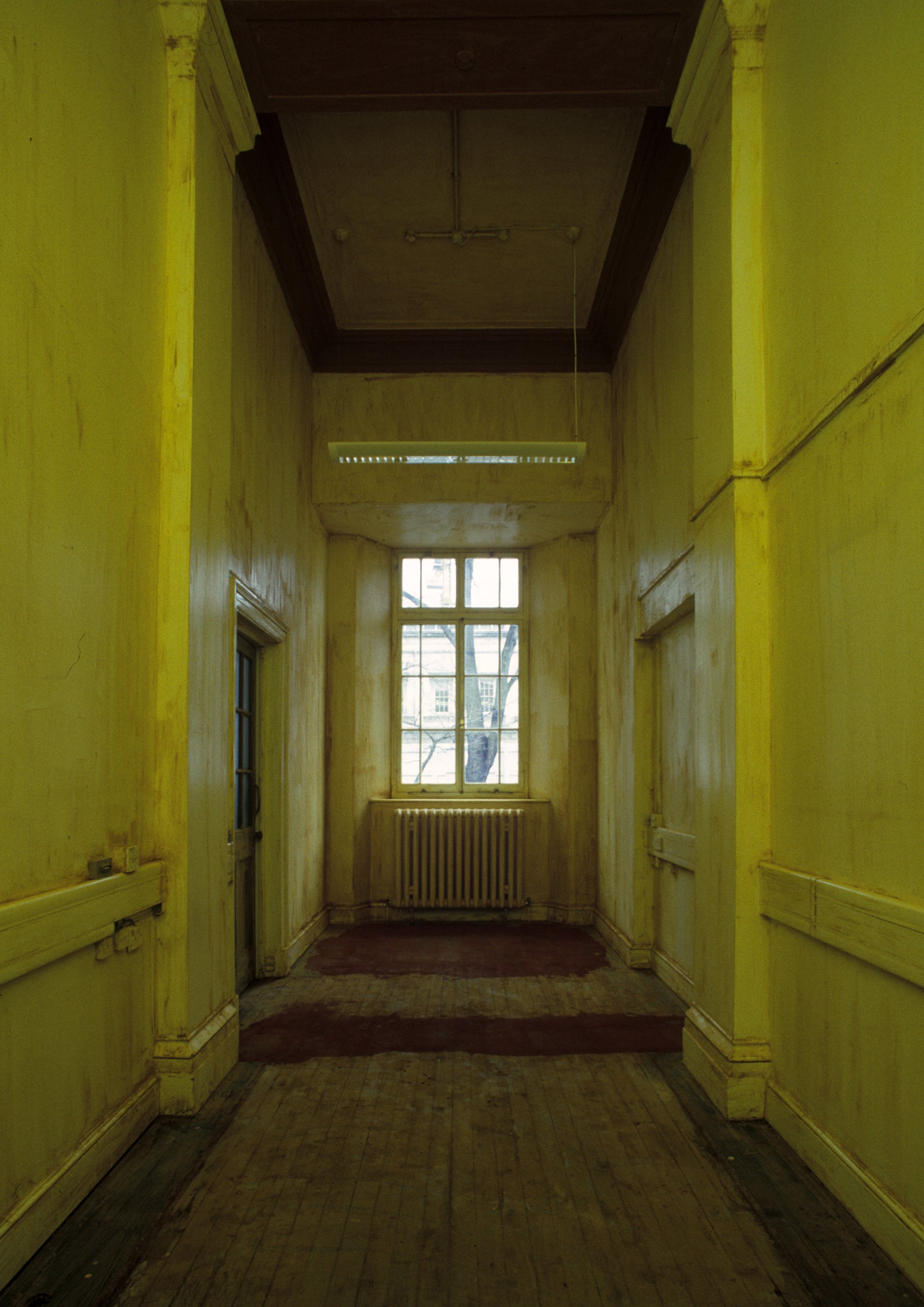 Stain, turmeric, London, U.K, 2004