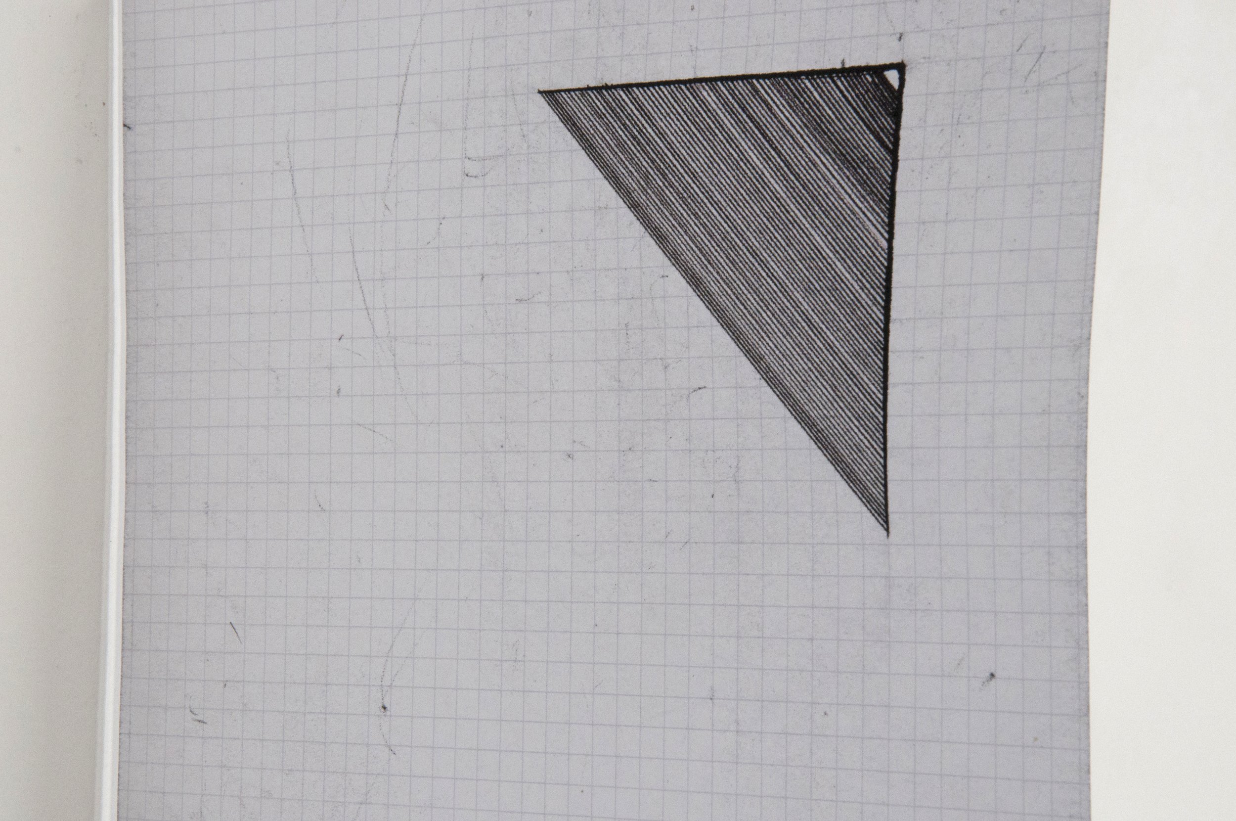 Remainder 10/14-09/15, pips, stones and seeds from food consumed, carbon, carbon paper, biro, paper, Turin, Italy, 2015