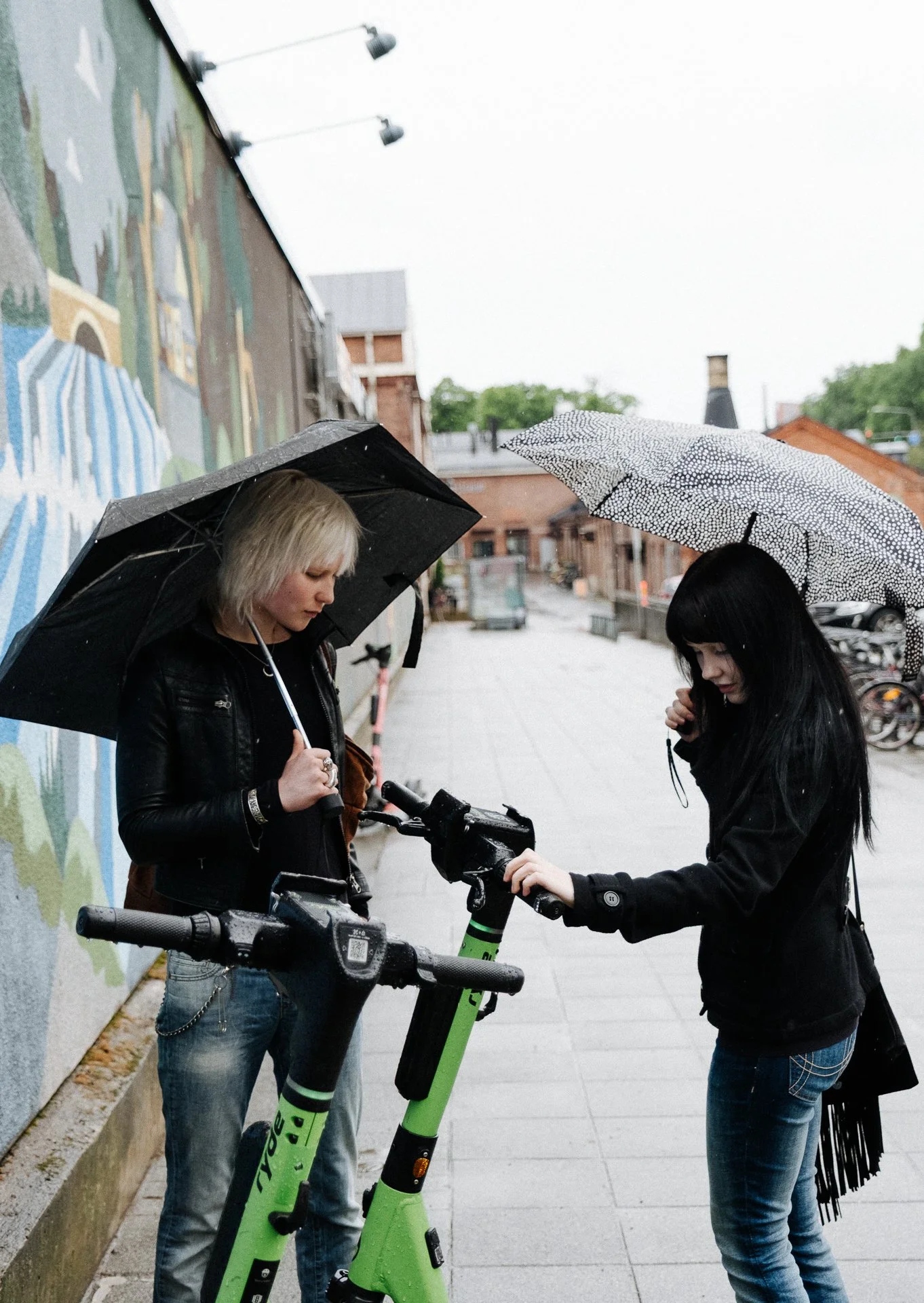 DSCF8310.jpg