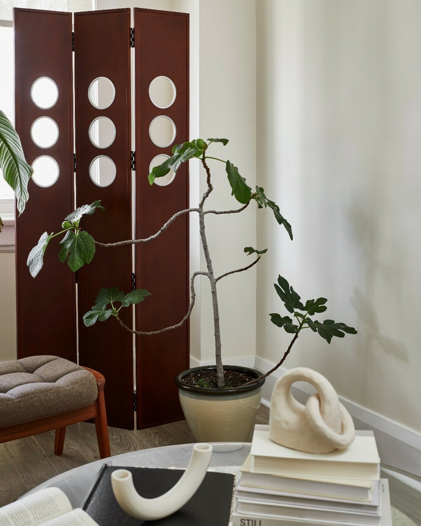 CEDARVALE PROJECT

Let's talk about styling your home using REAL PLANTS. 🌿🏡
Real plants bring life and energy to your home in ways that artificial ones can't replicate. They create an authentic, lived-in atmosphere that's both inviting and vibrant.