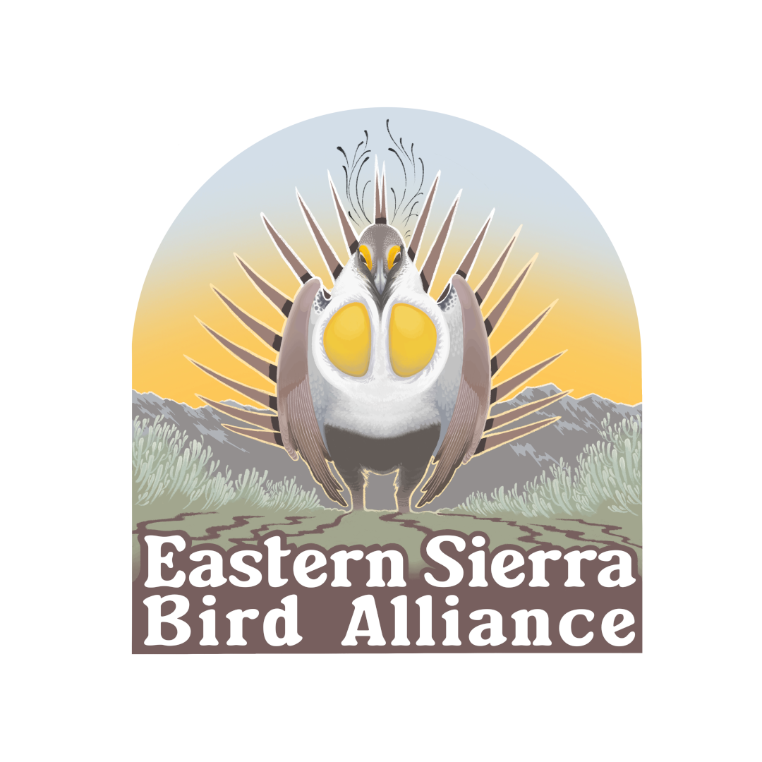 ESBA Portfolio Logo.png