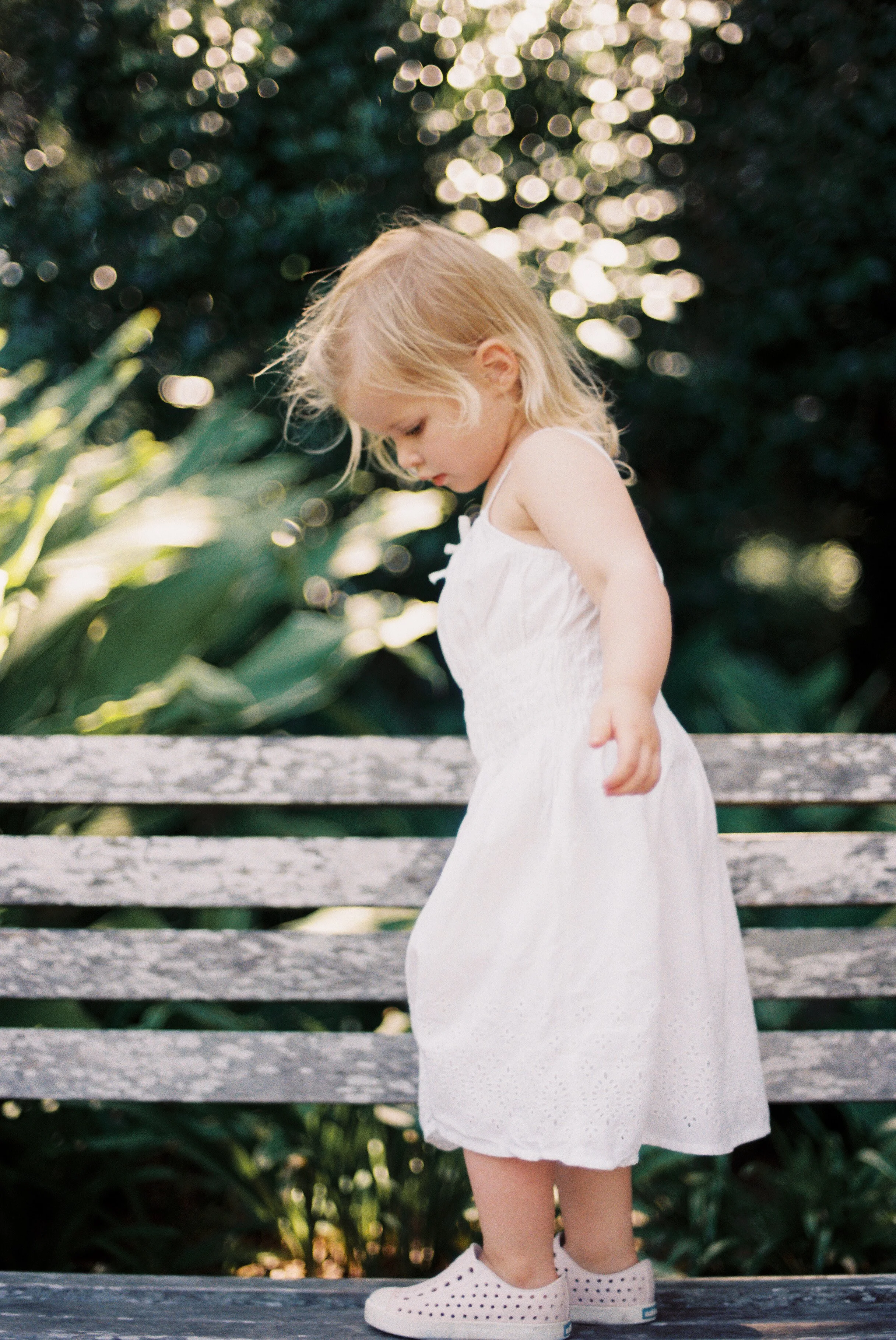 4365167-r1-068-32a 2.JPG