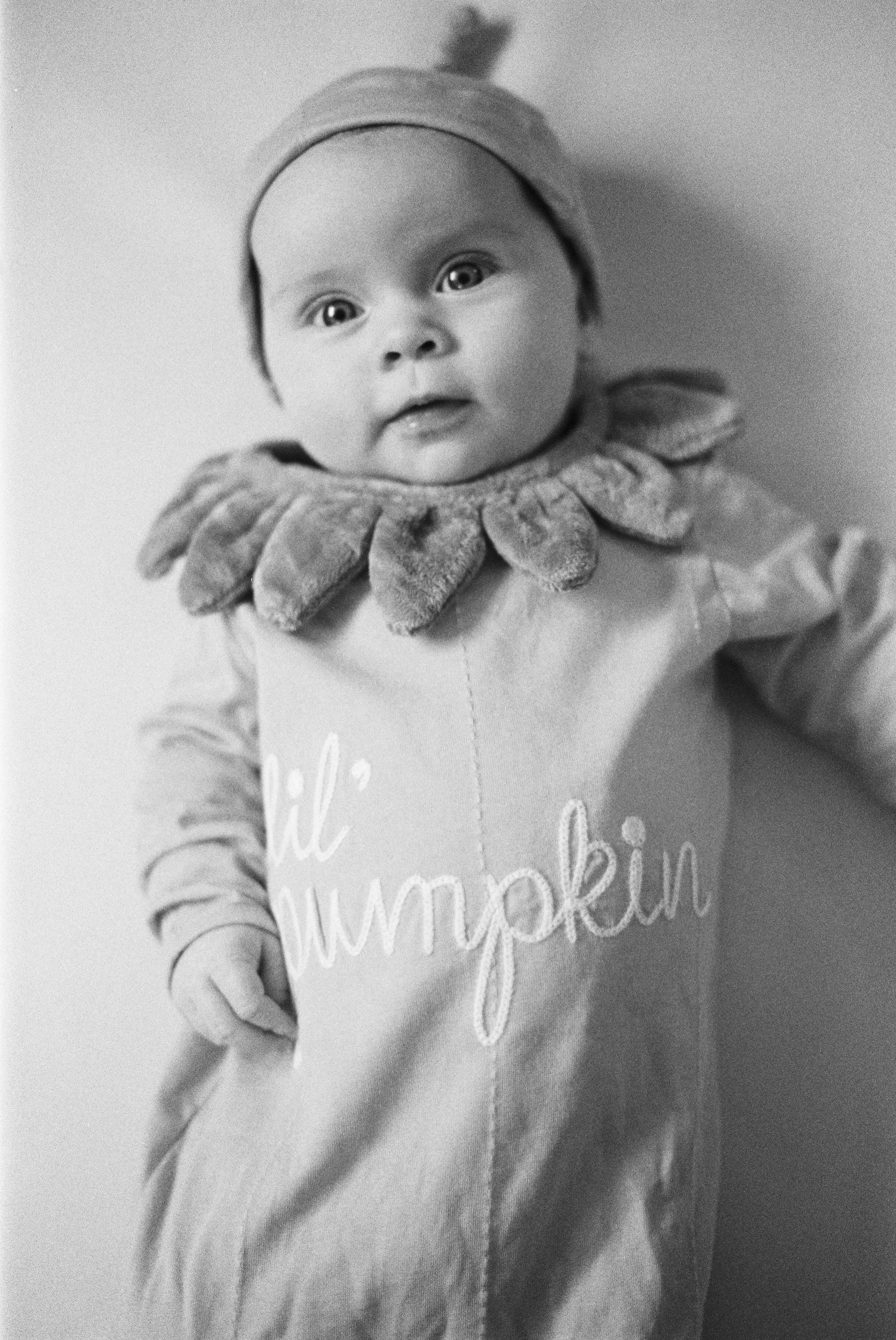 4361979-R1-E017 2.JPG