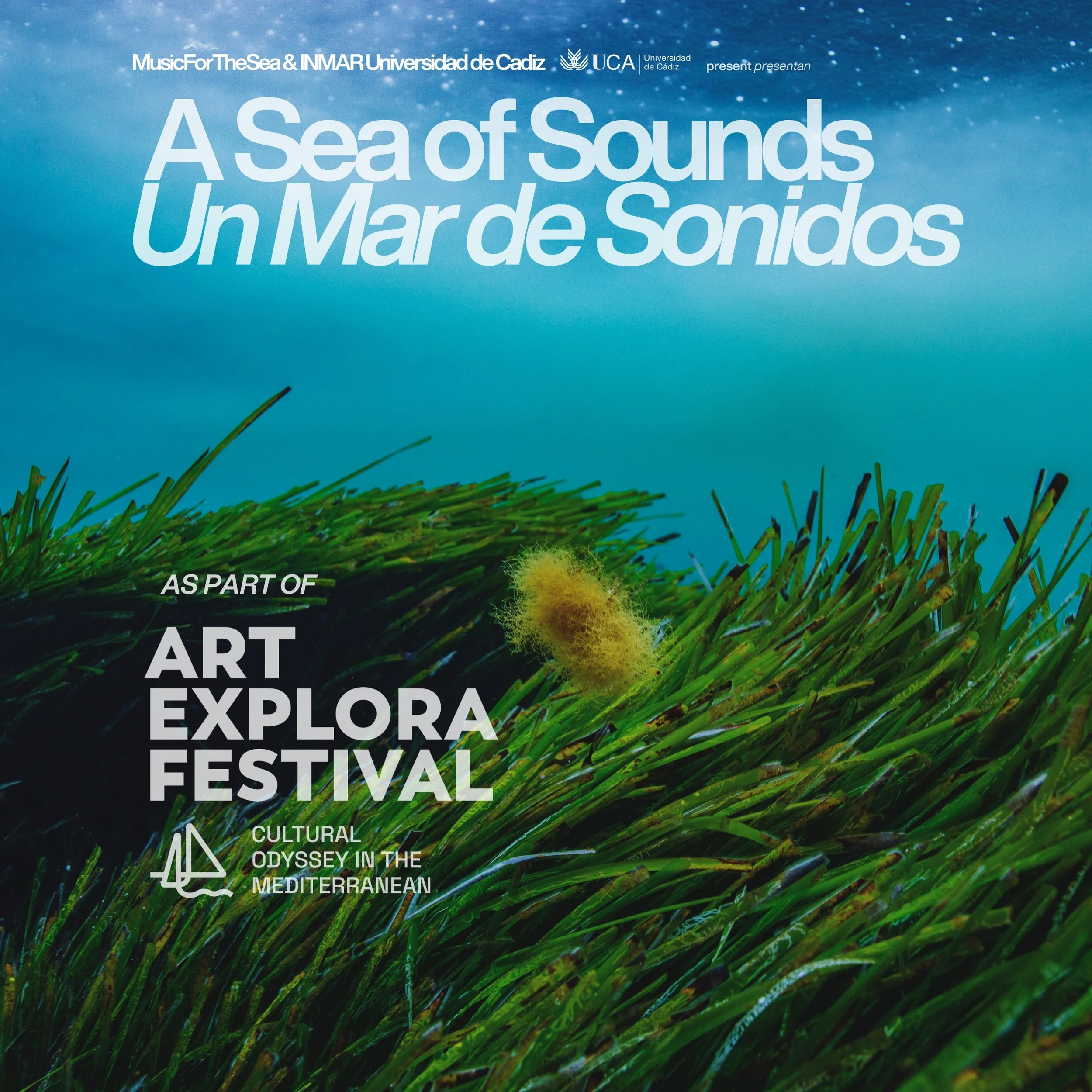 Art Explora Festival Ibiza: A Sea of Sounds