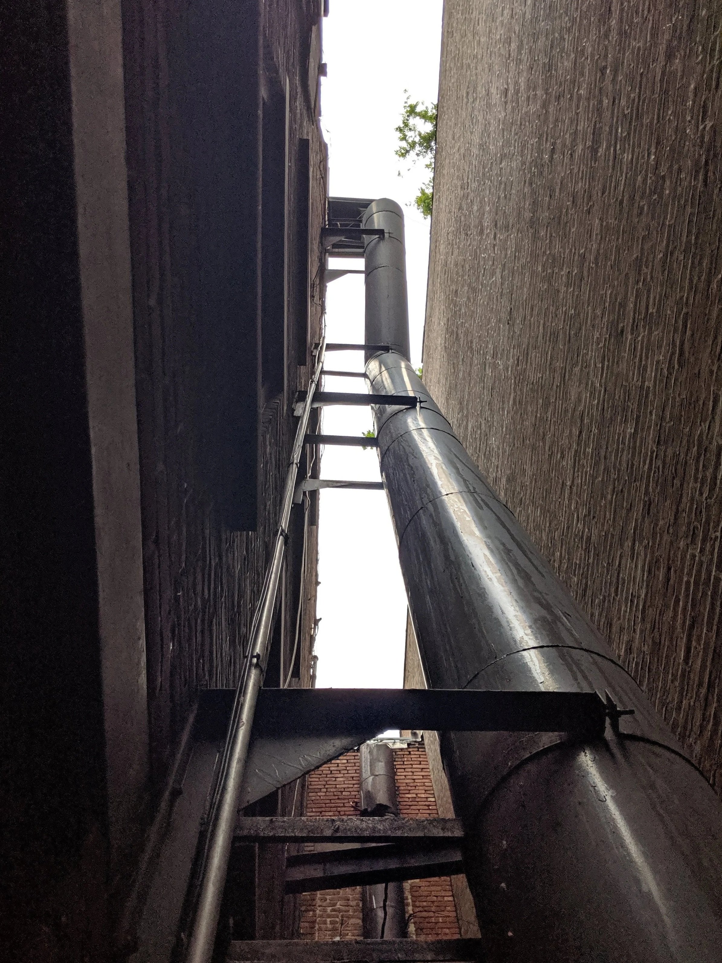 MVIMG_20190906_101602.jpg