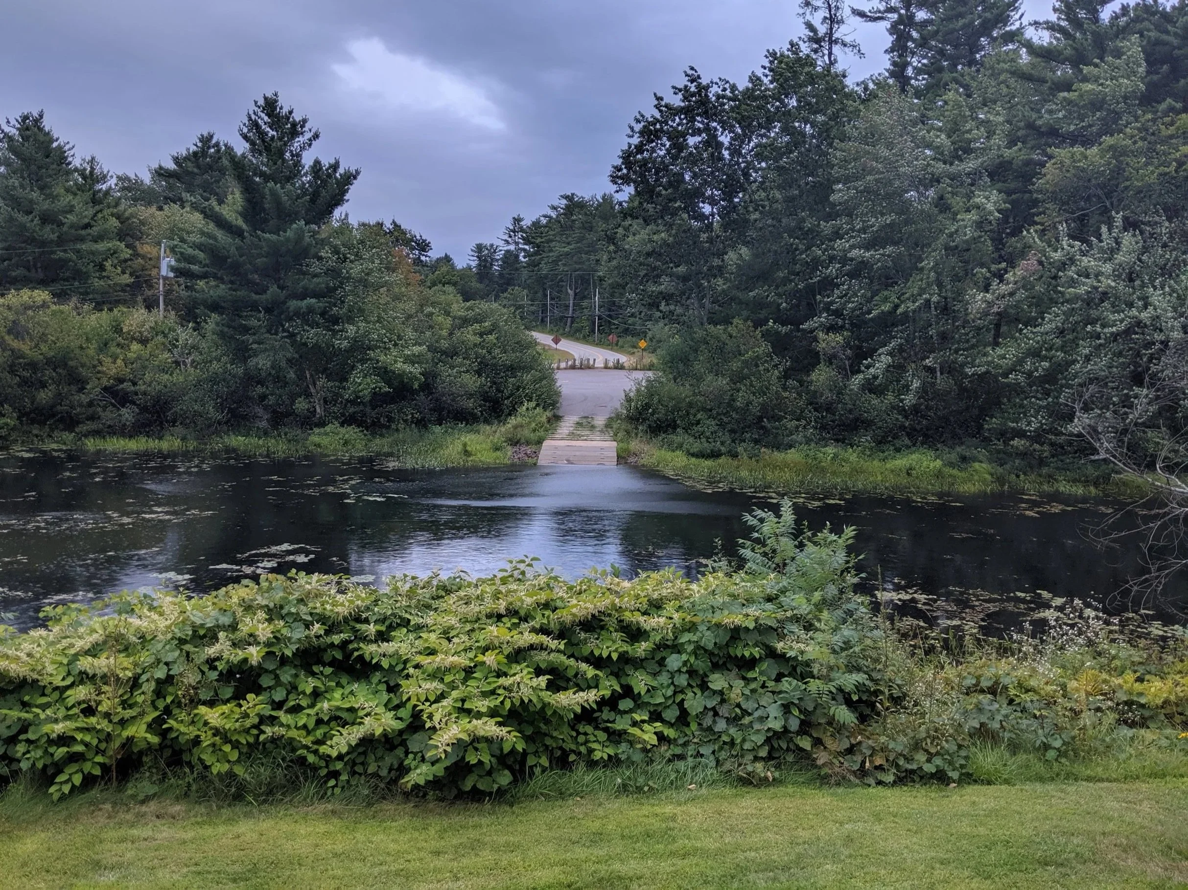 MVIMG_20190907_182528.jpg