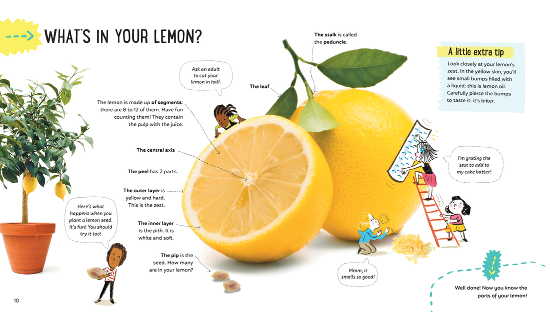 there-s-science-in-lemons-interior-1_orig.png