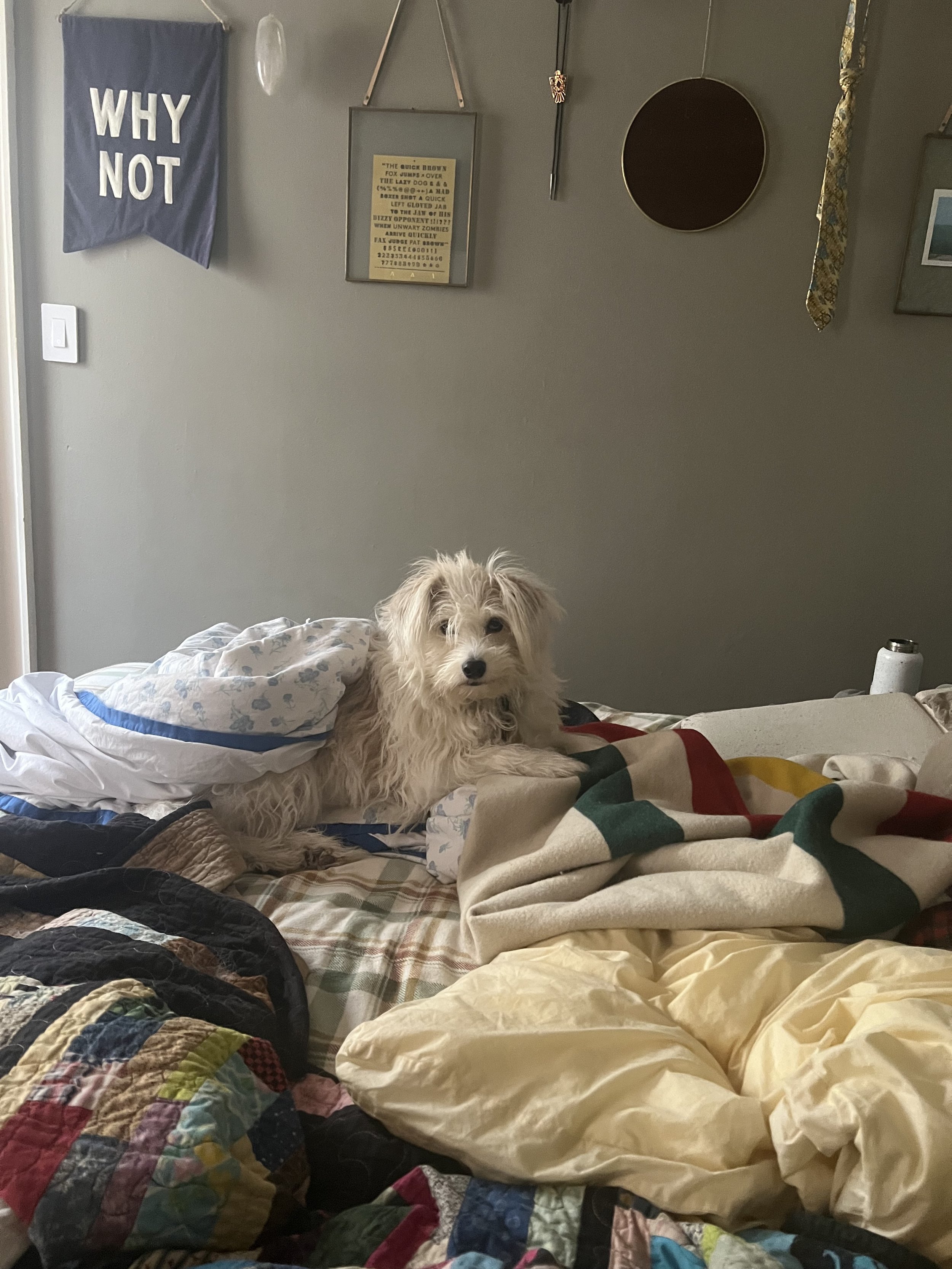 IMG_3004.jpeg