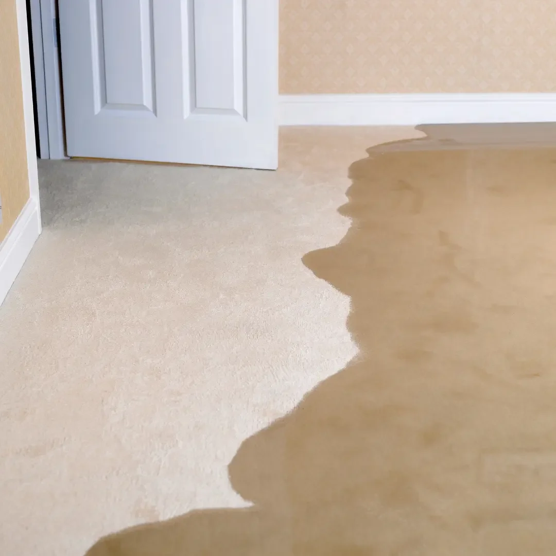 Why Immediate Water Damage Mitigation is Crucial for Your Home