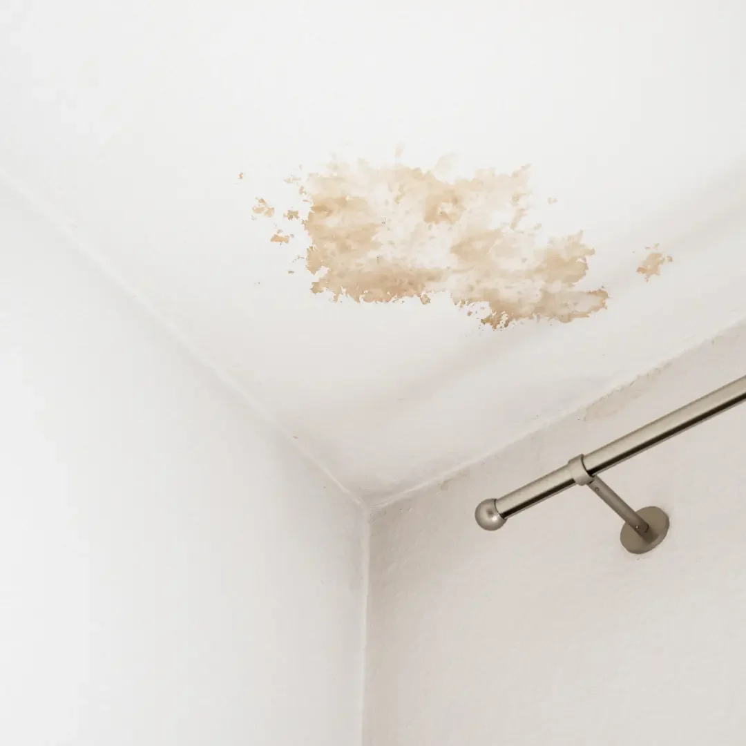 How to Spot Hidden Water Damage in Your Home
