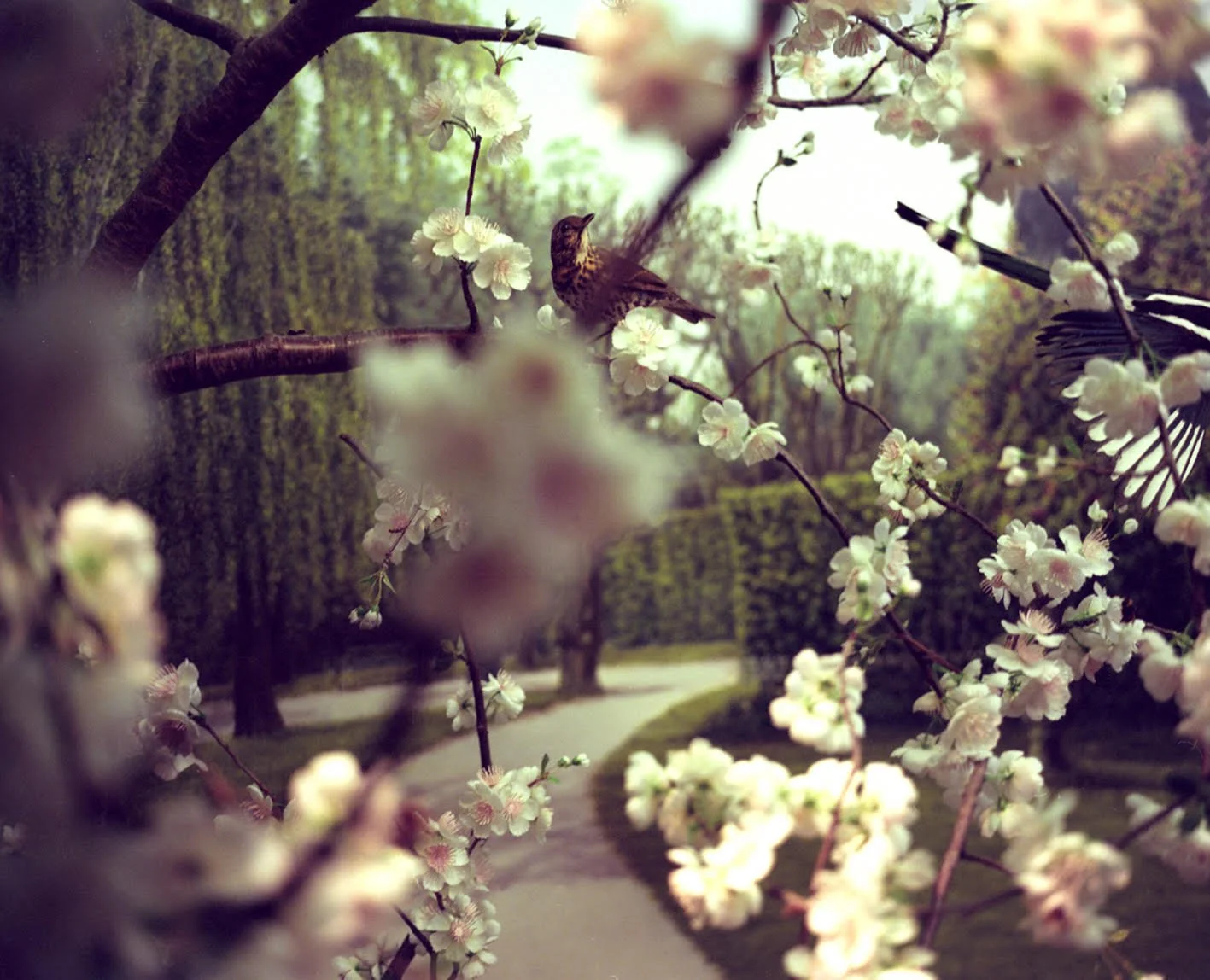 April Gertler, Still Life, Copenhagen #8