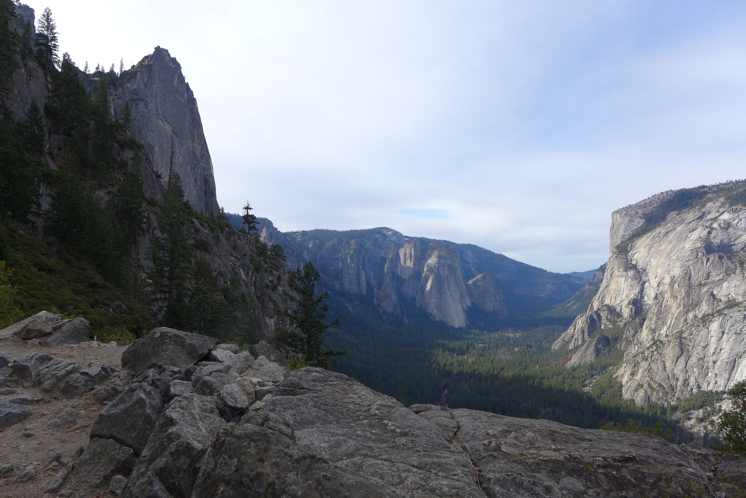 Osteopathic Approach to the OraL Cavity