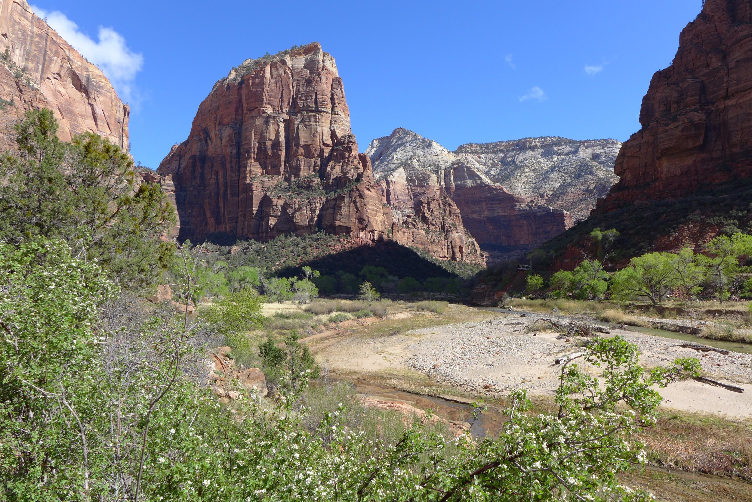 How to Use Osteopathic Manipulative Medicine (OMM) as Part of Your Integrative Medical Care