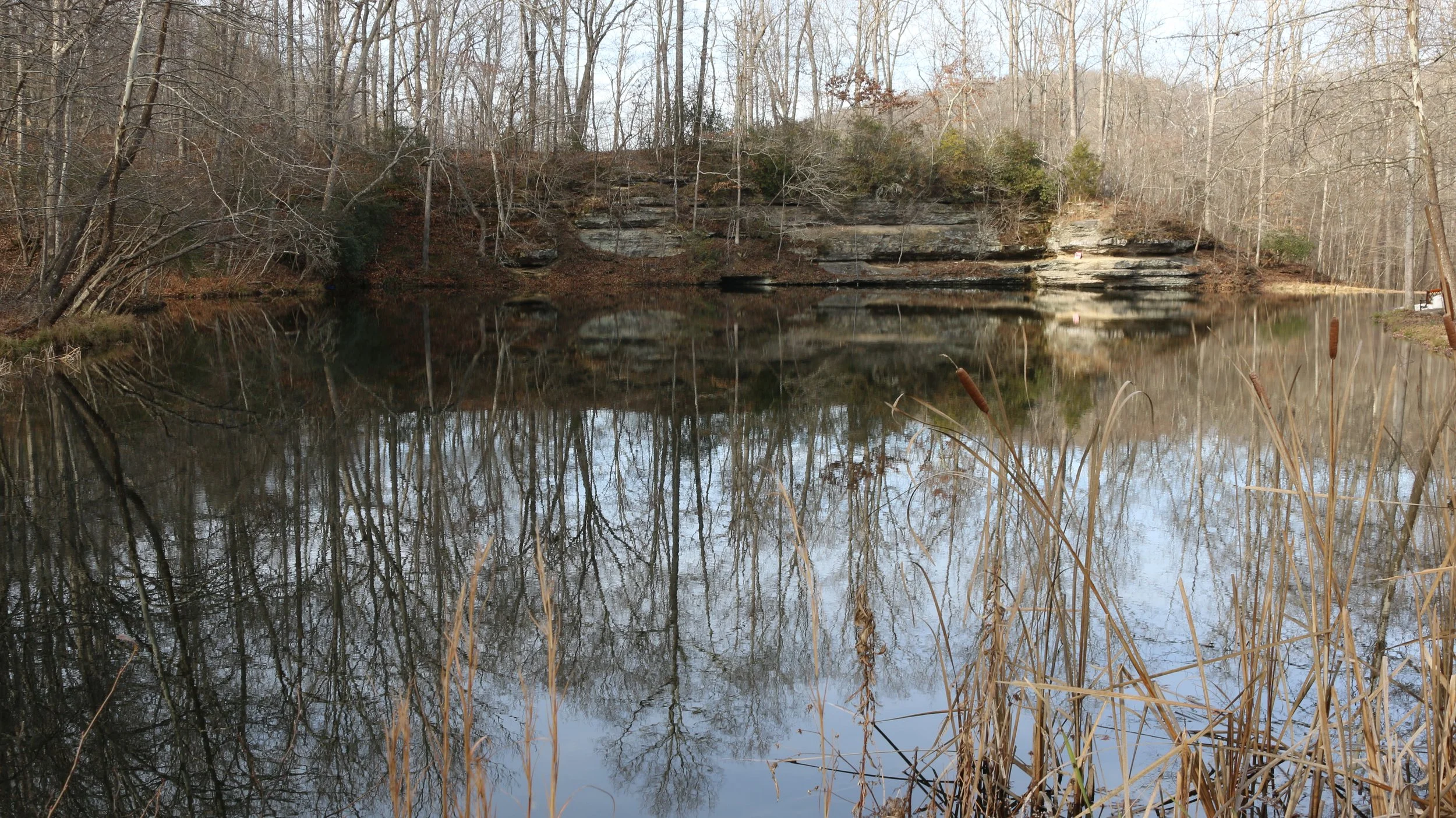 RECLAIMING THE RHYTHM: UNDERSTANDING MENSTRUATION AND CHRONIC PAIN AS VITAL HEALTH SIGNS