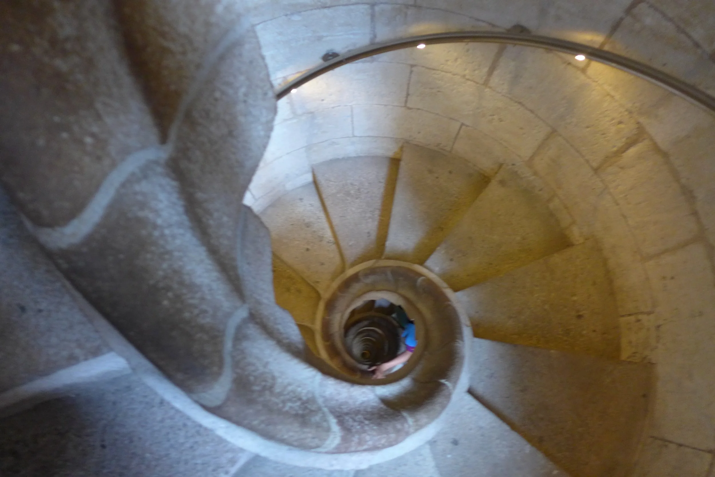 The embryological perspective in traditional Osteopathy