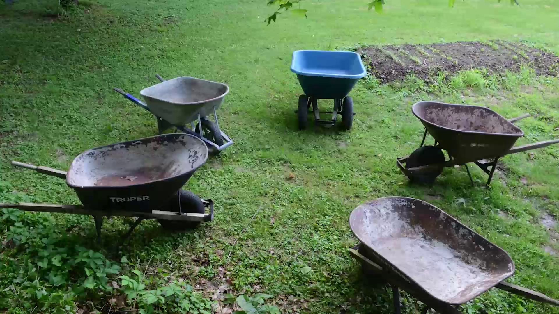 "Wheelbarrow Race" - The World Premiere. With a selection of other original Dan Johnson films.