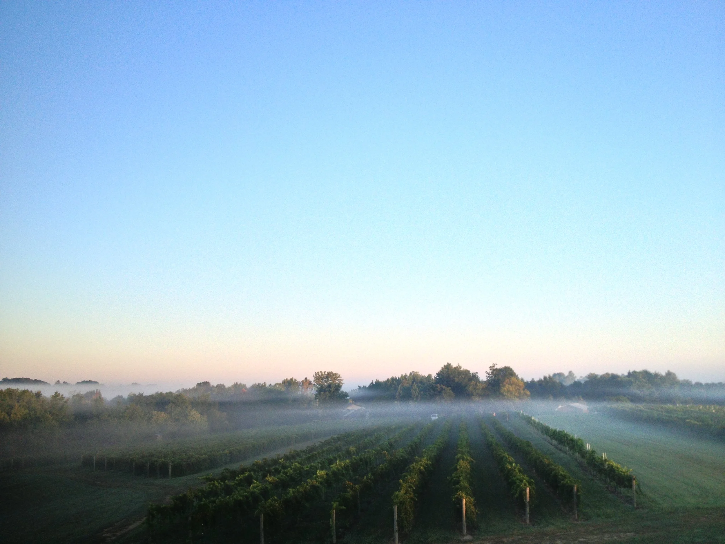 Menu 1 — Alto Vineyards