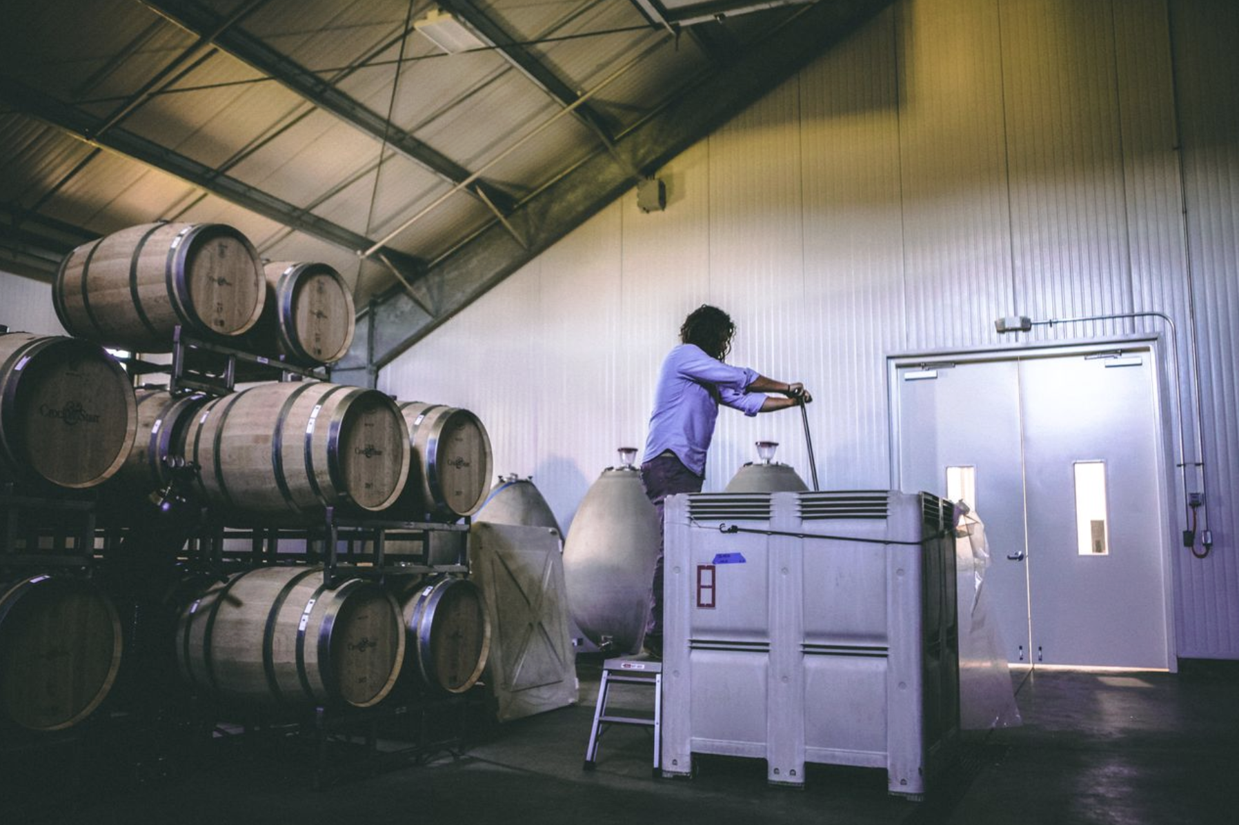 Seth Cripe LOLA Wines winemaking