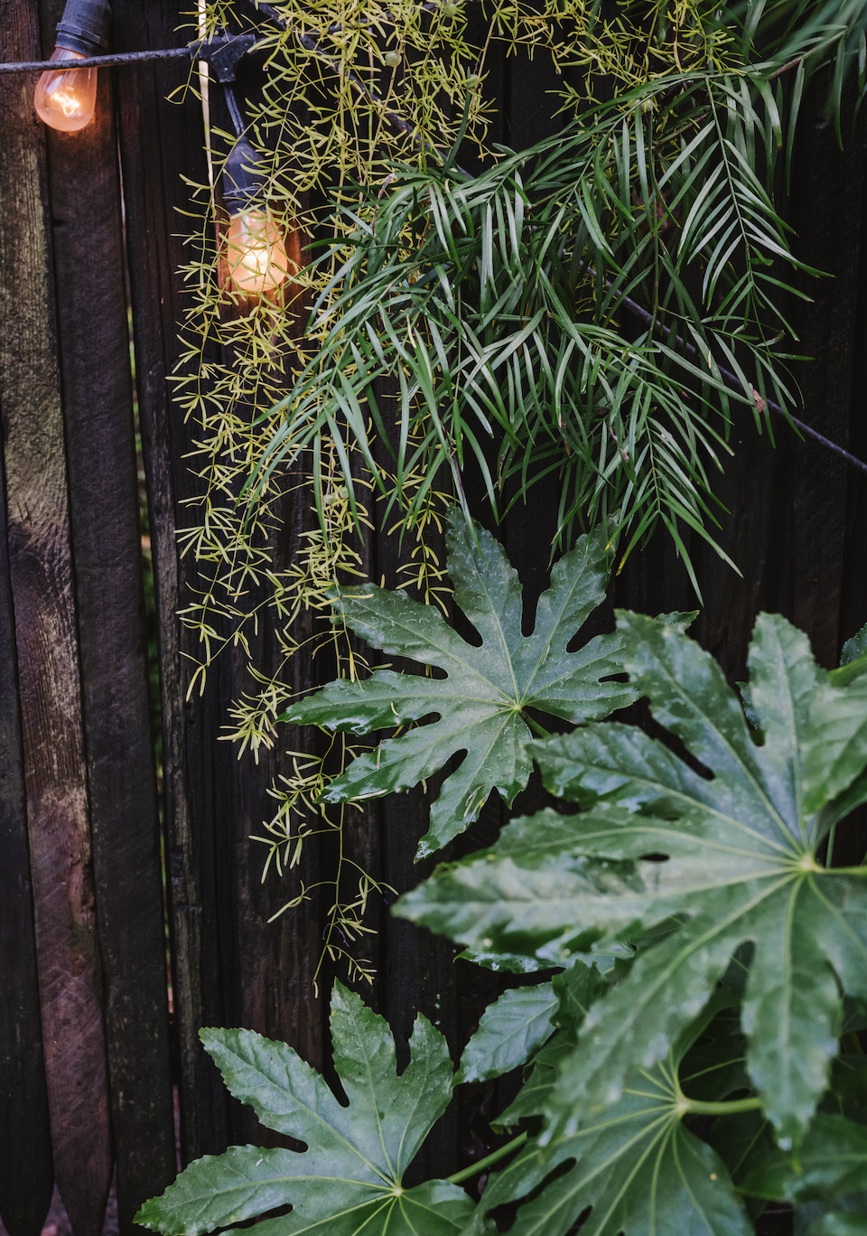 Screenshot 2026-03-10 at 11.20.59 AM.png