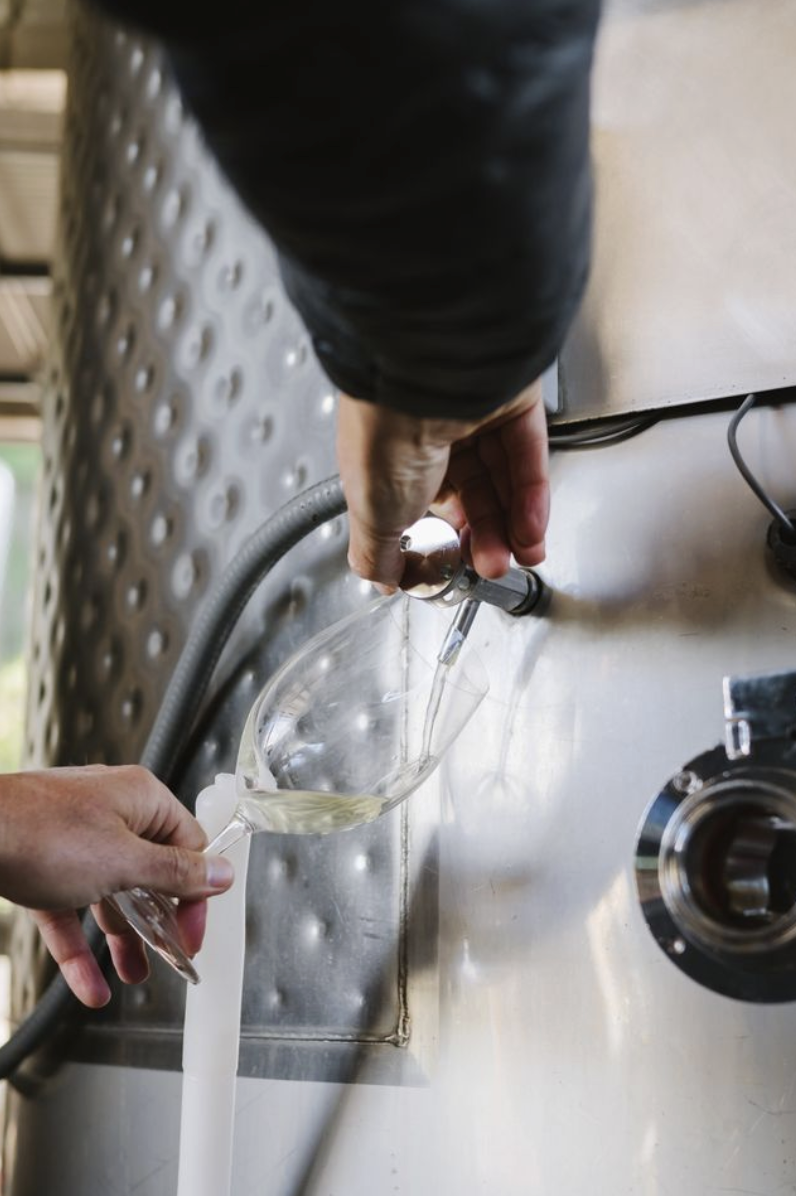 LOLA White wine Napa Valley out of the tank