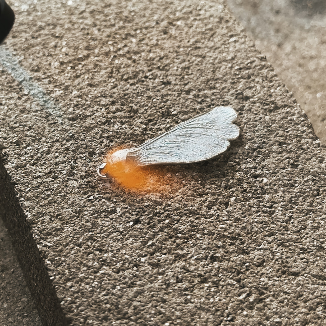 Solder jump rings to your sycamore seeds