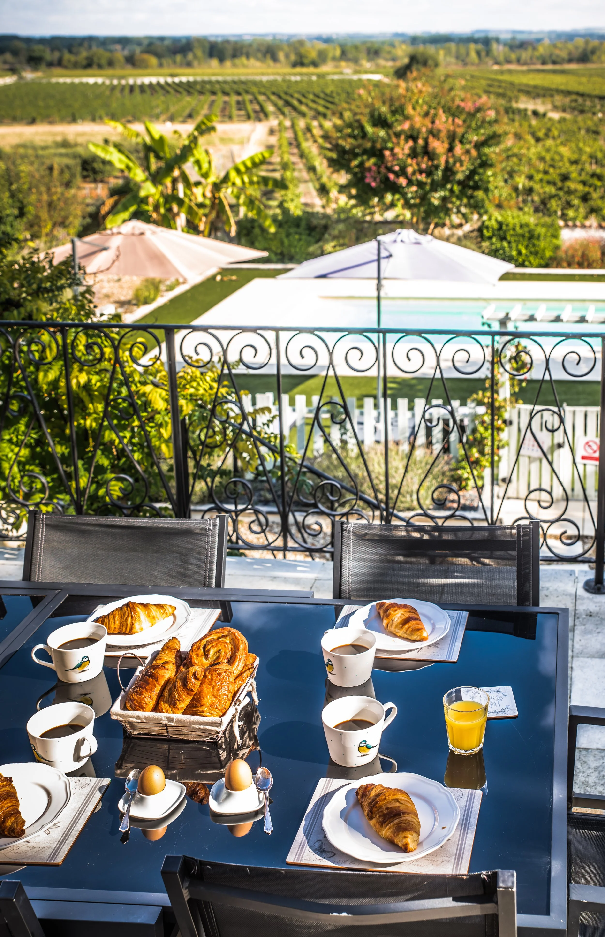 All inclusive accommodation for the Summer Foundation Course - View from the breakfast terrace overlooking the vines and swimming pool at Le logis st meme les carrieres