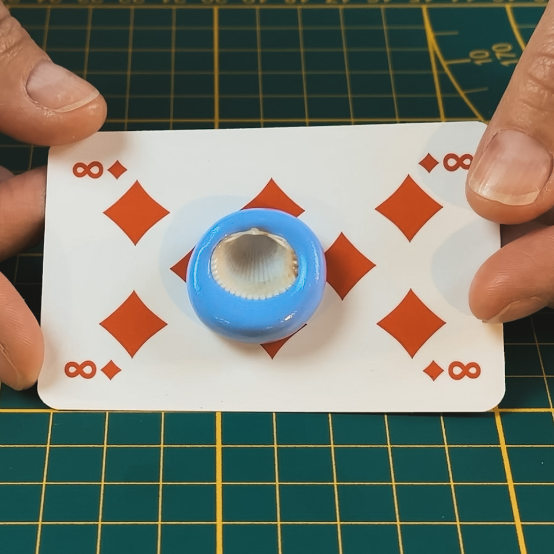 1. Learn how to use real shells to make a silicone mould