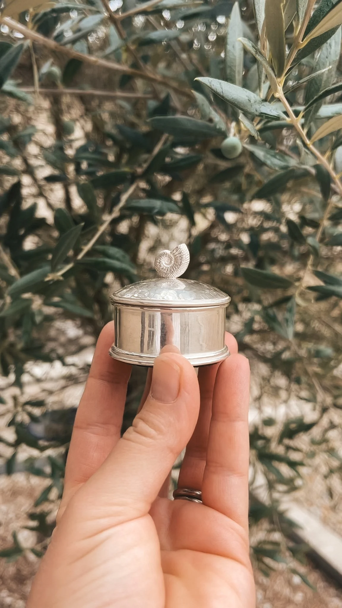 Project 3: Silver Trinket Boxes - Step into the world of silverware and learn forming, planishing, doming, and advanced soldering techniques.