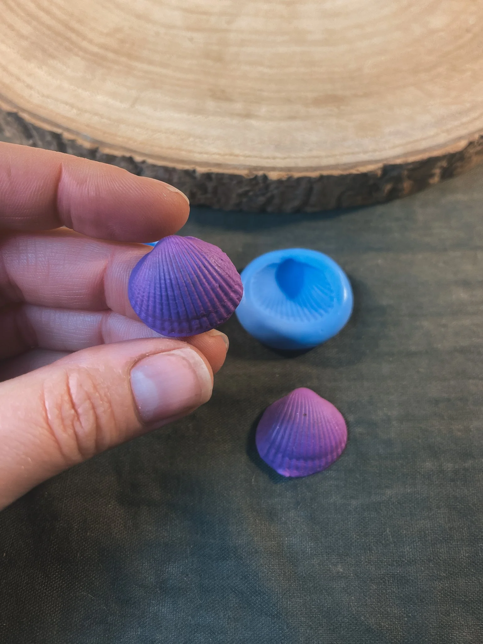 bivalve cockle shell silicone mould for silver clay 3.jpg