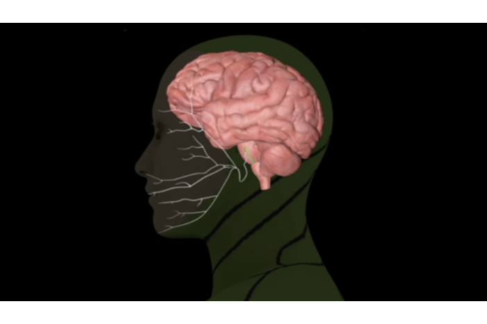 Related Video Item Thumbnail