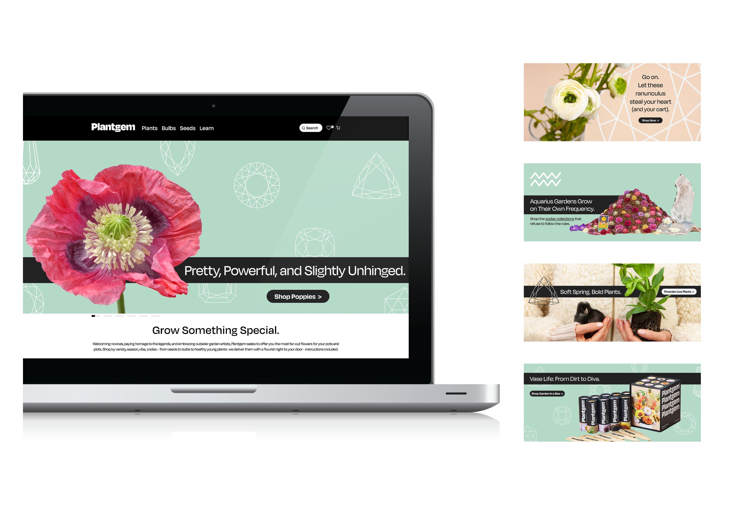 Brand Refresh: Visual & Content Development