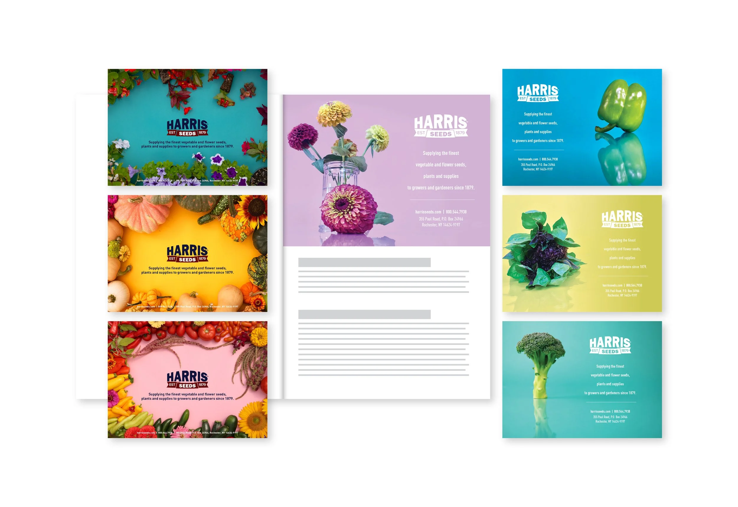 Print Advertisement — Half-page ad options for the New York State Agricultural Society publication.