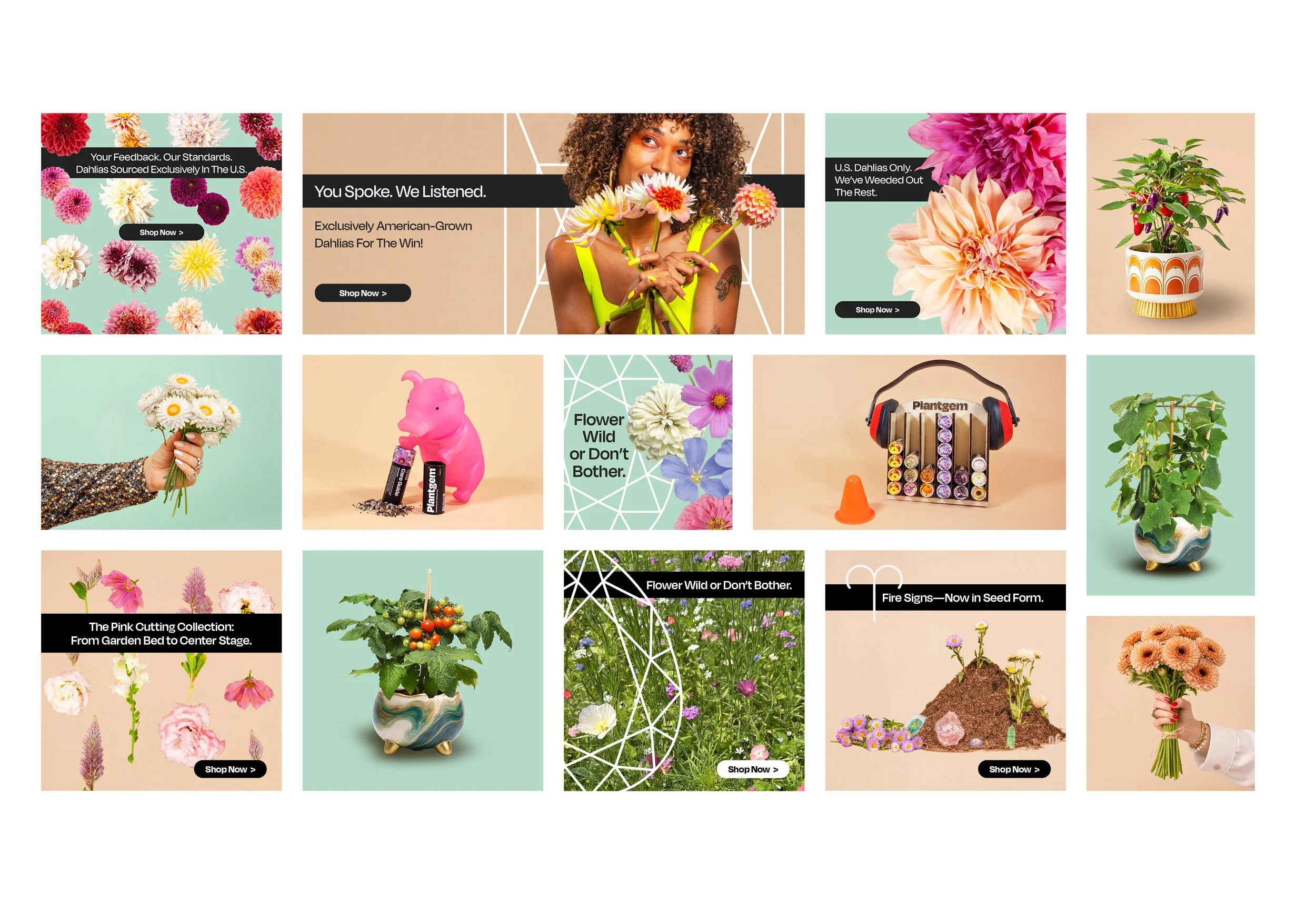 0226_Website PG 4.jpg