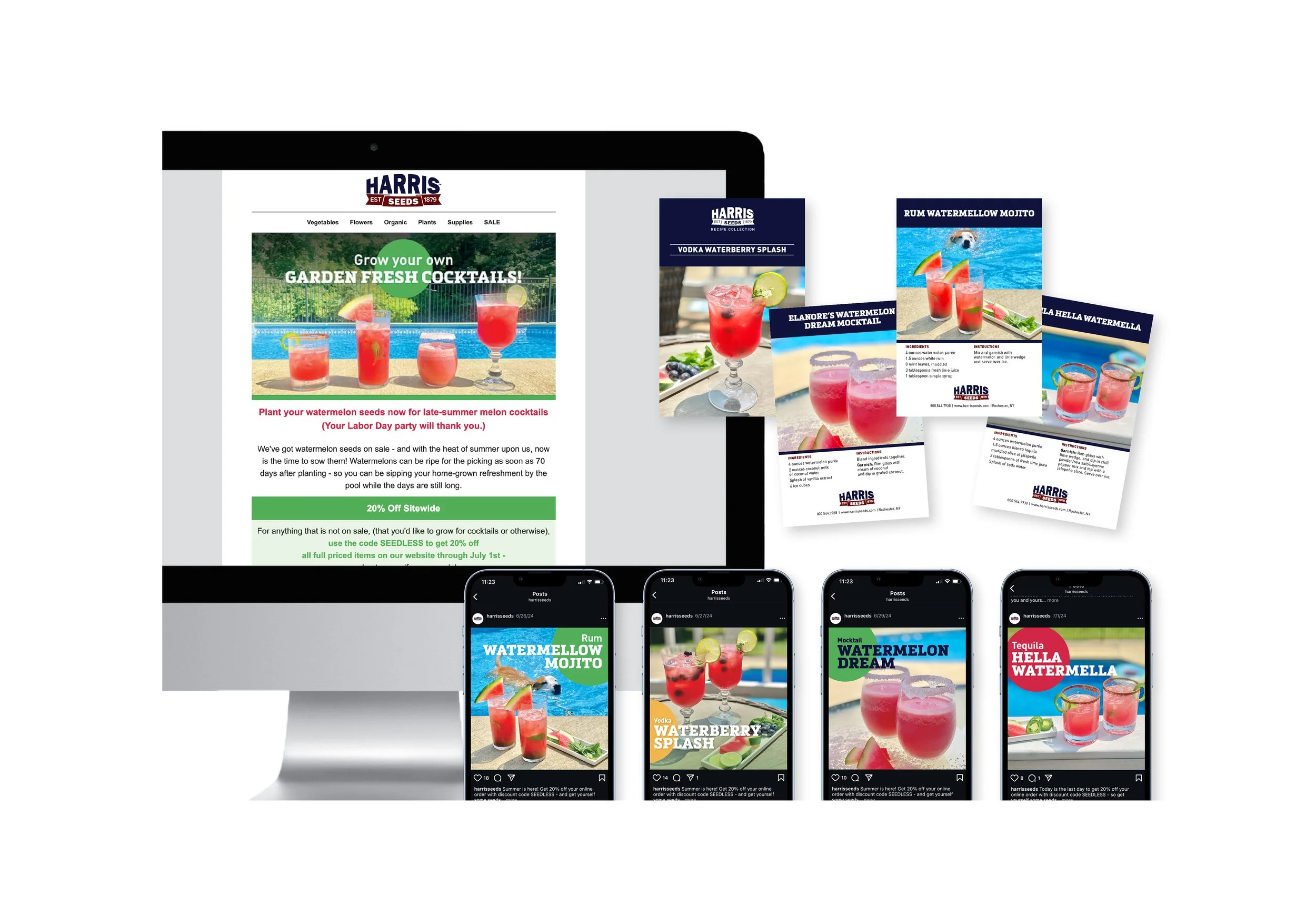 Digital Marketing Campaign — A multi-channel content package for a new watermelon variety, encompassing email marketing, social media assets, and four original summer drink recipes with printable recipe cards. 