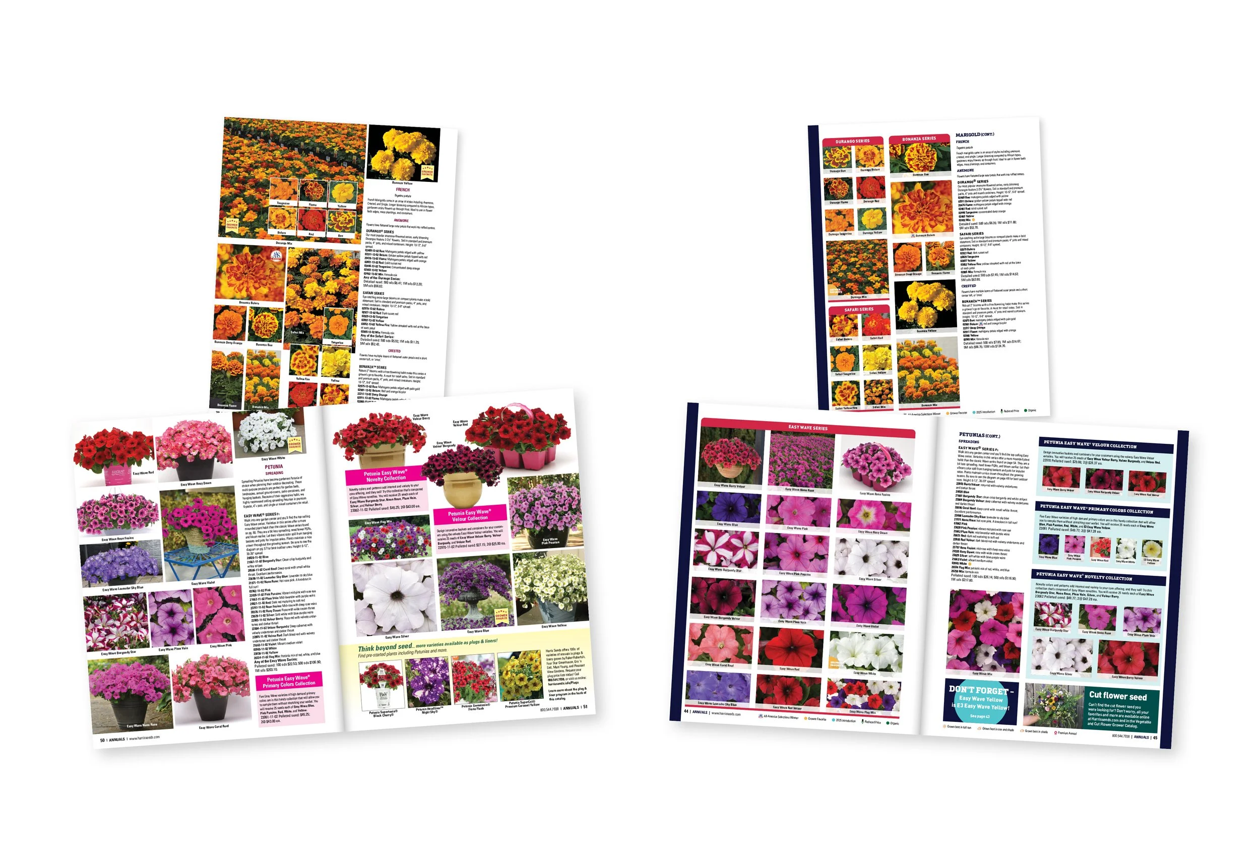 3 Annual Catalogs — Evolution and refresh or three annual catalogs.

Problem: 
disorderly layout • uneven spacing • inconsistencies • misalignments • fragmented information flow

Solution: 
redesigned the layout • set to a grid • implemented wayfindi