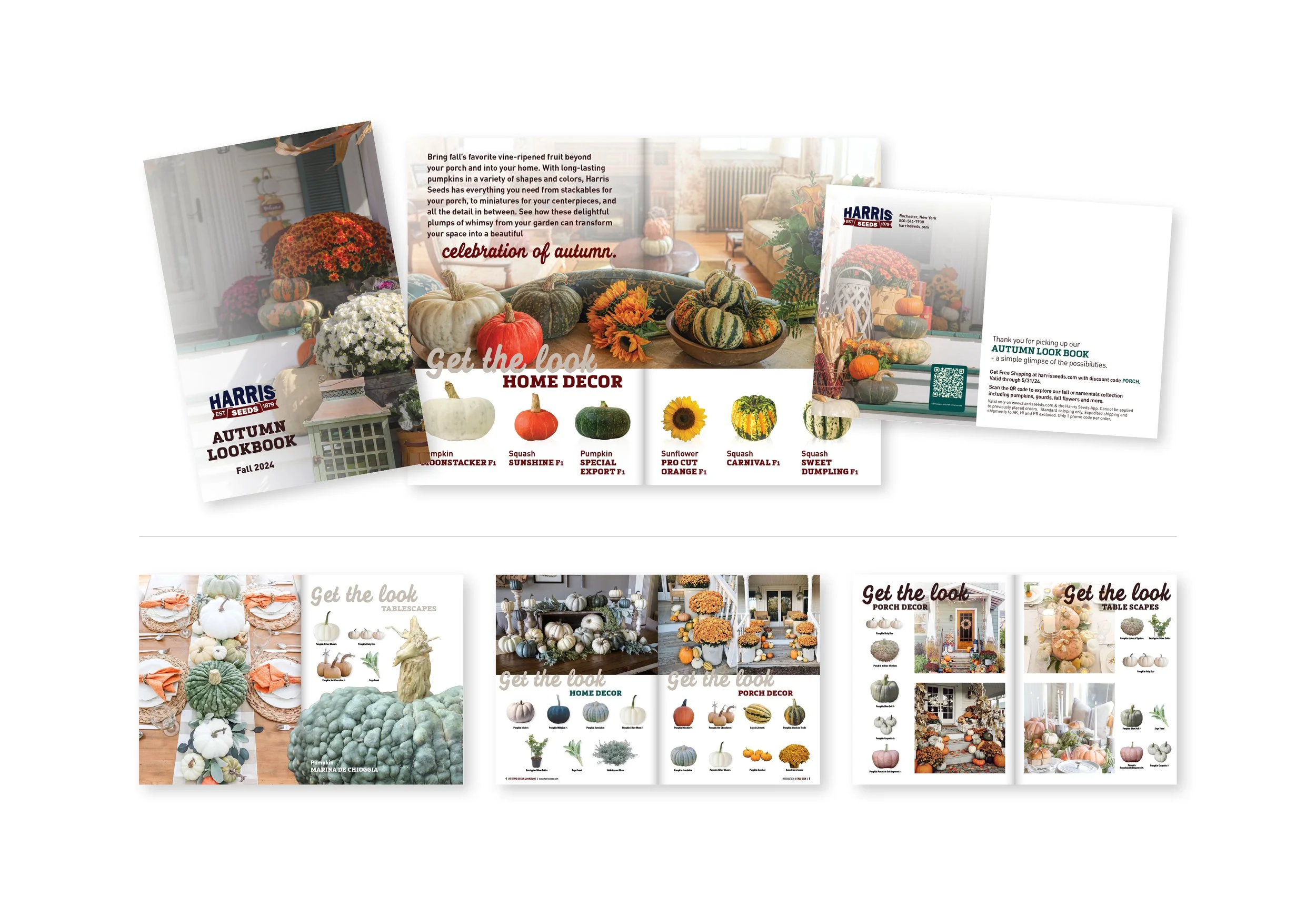 Multi-purpose sales aid — Developed to educate small- to medium-sized roadside stand growers on fall pumpkin and décor trends, while inspiring consumers with curated porch and tablescape ideas.
Alternate layouts below.