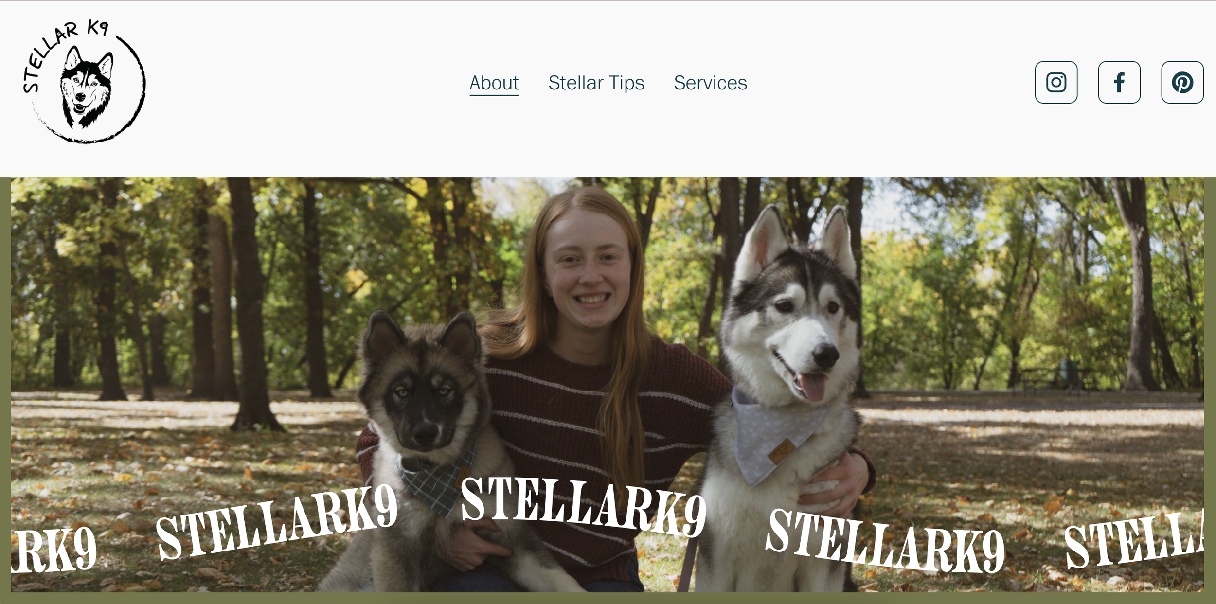 StellarK9 Training Website