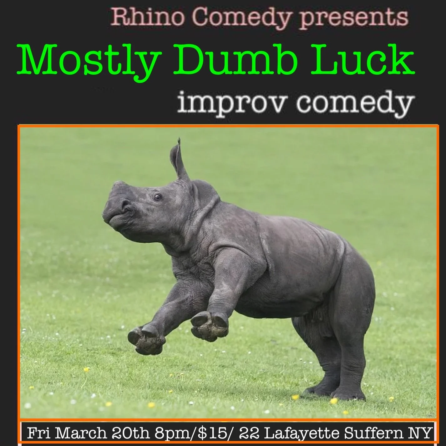 Dumb Luck square.jpg