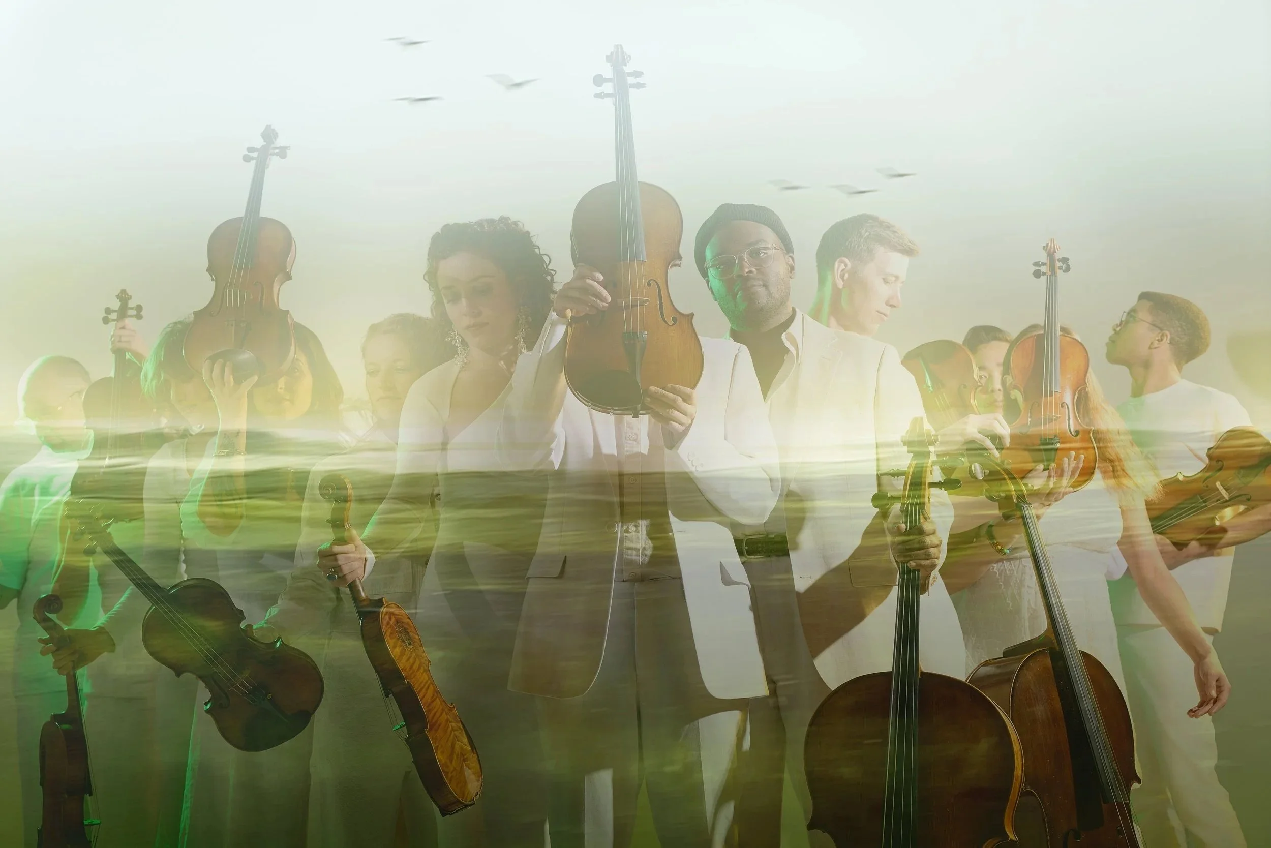 Palaver Strings: Dancing Home 