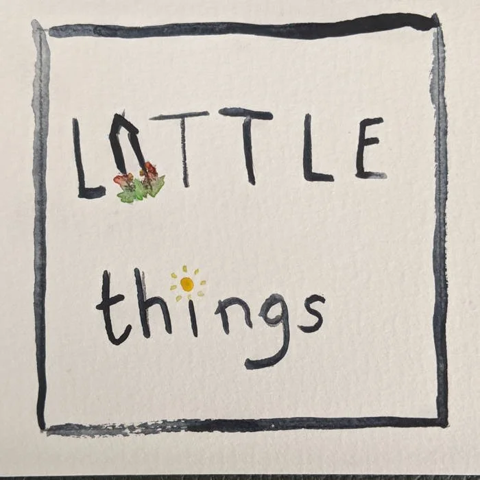 little things album art.jpeg