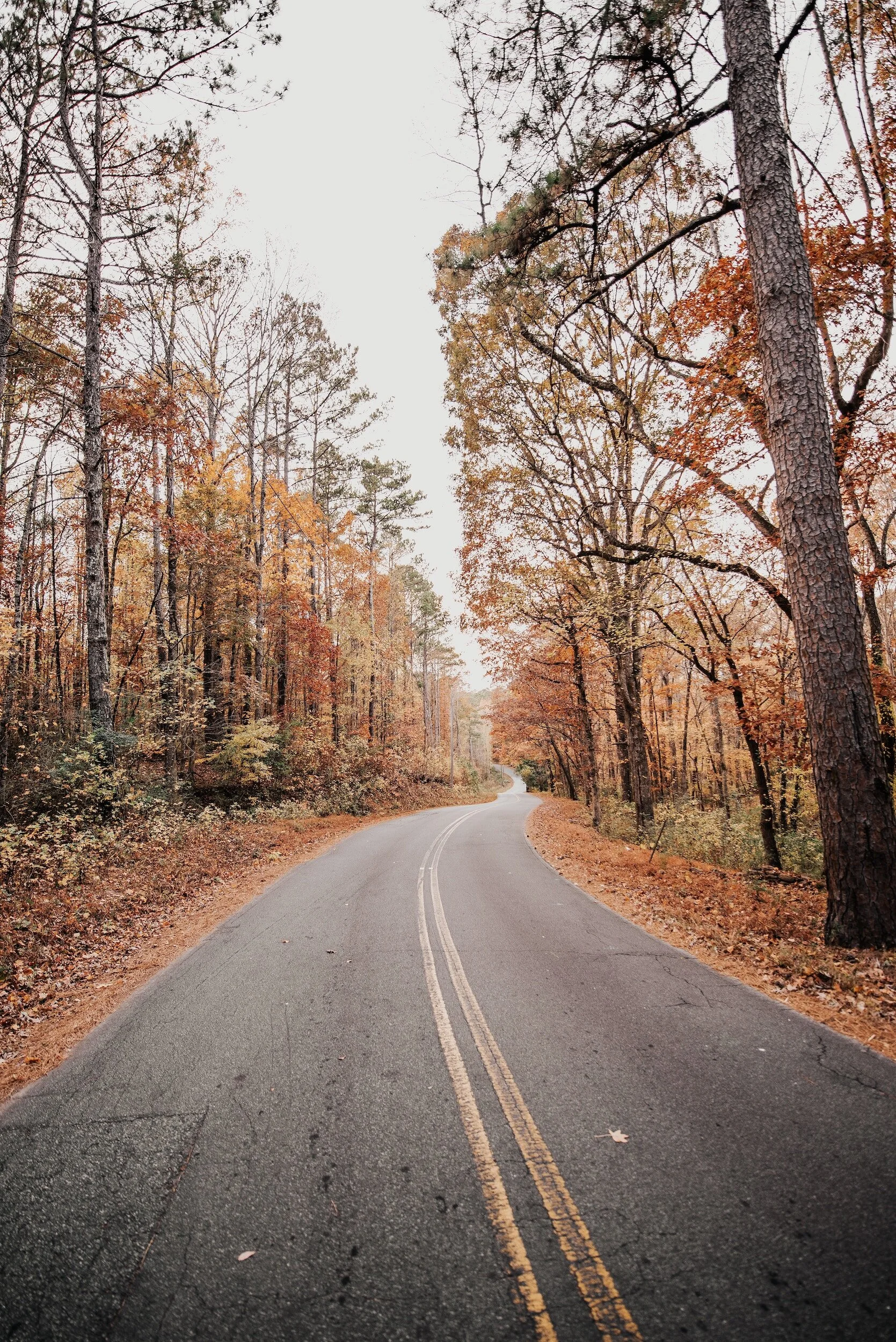 Live Well Newsletter | October 2023