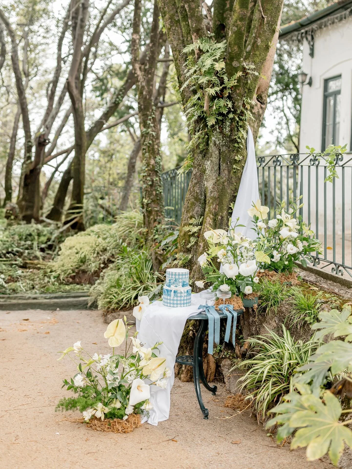 File this one under the &ldquo;I didn&rsquo;t know I needed to think about that&rdquo; category😄

You&rsquo;ve invested $$$ in your cake and your baker has spent countless hours to bring your dreams to life but let them melt away in an instant!

A f